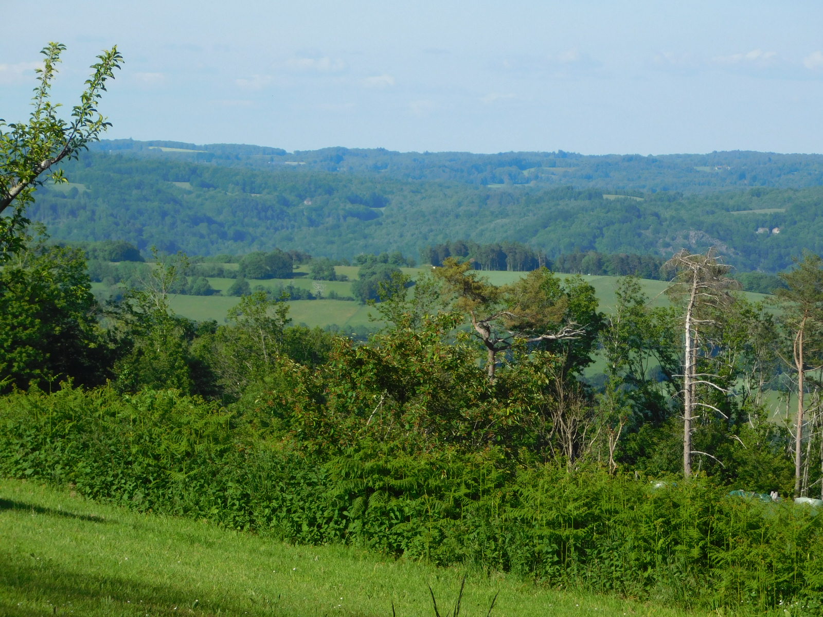 Gîte LACAM, Bannes - photo 2