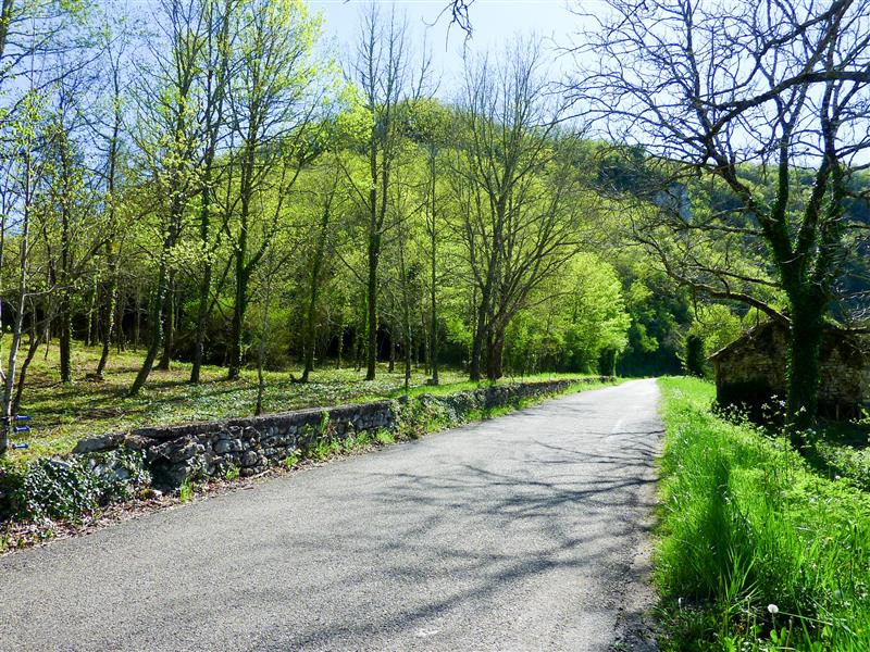 Trigoulet - Balade au milieu des chênes © Lot Tourisme - C. Sanchez