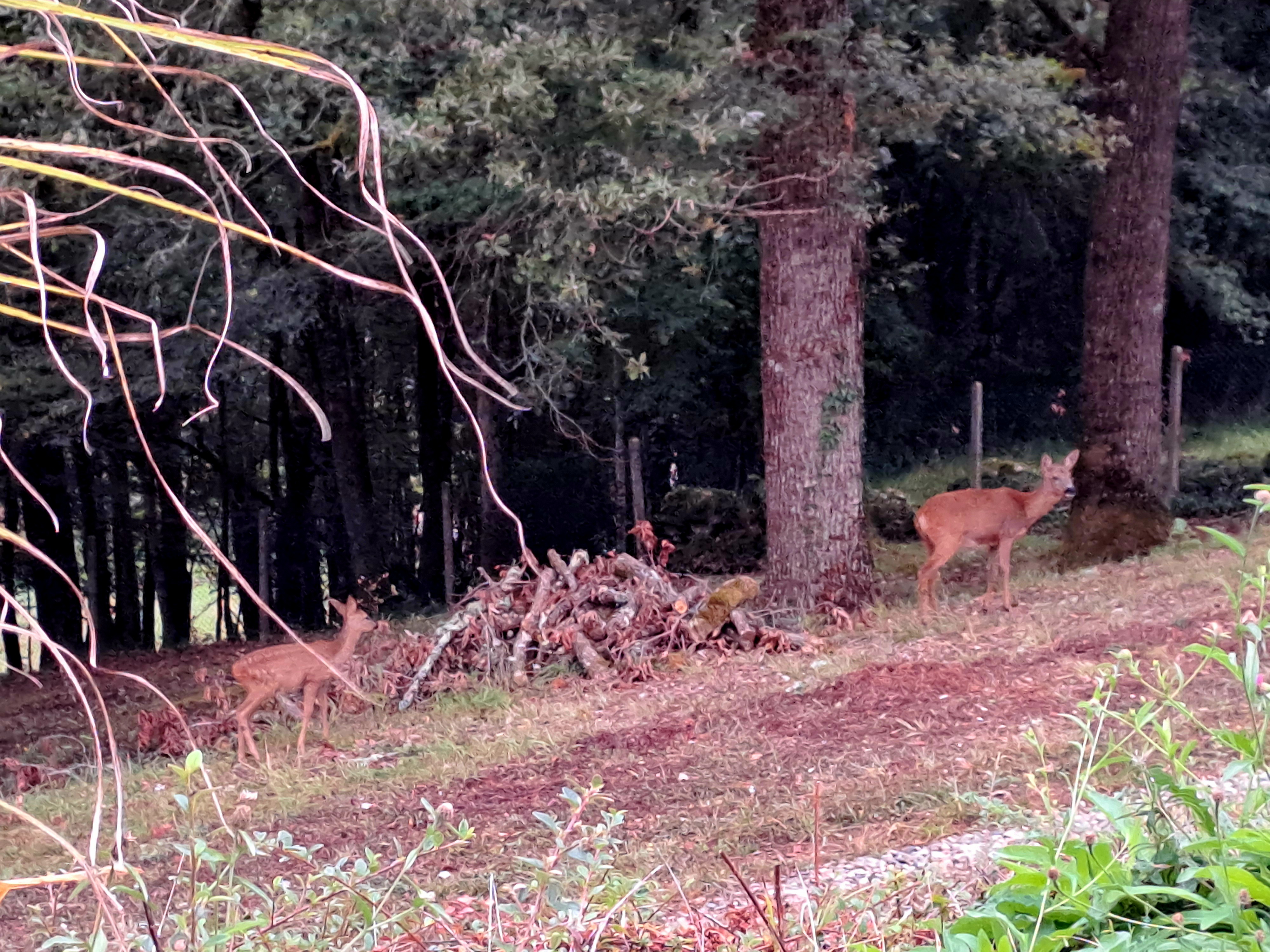 Domaine des Etoiles, Lherm - photo 32