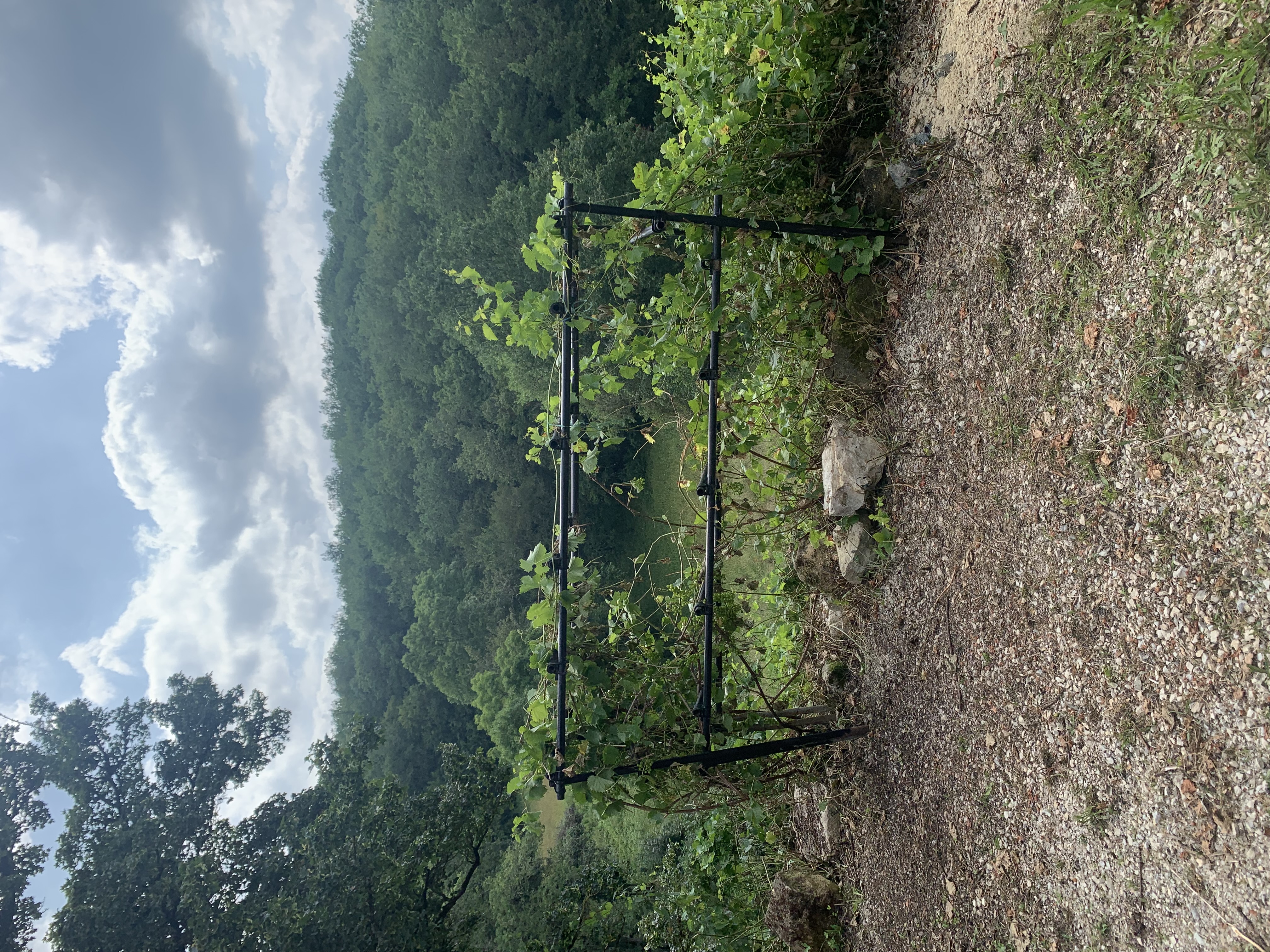 Le Gîte du Hameau, Saint-Clair - photo 35
