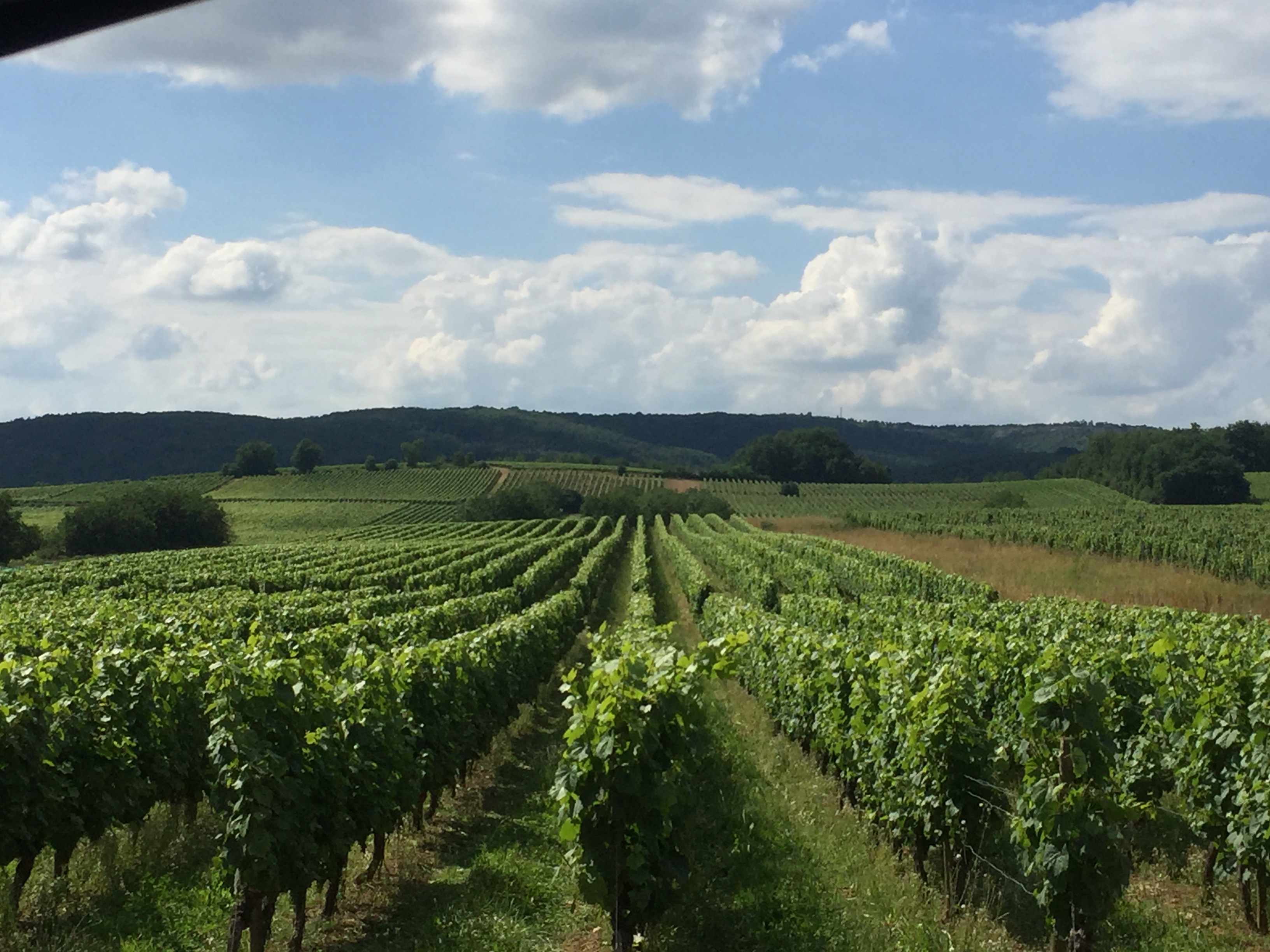 Domaine "Le Passelys"