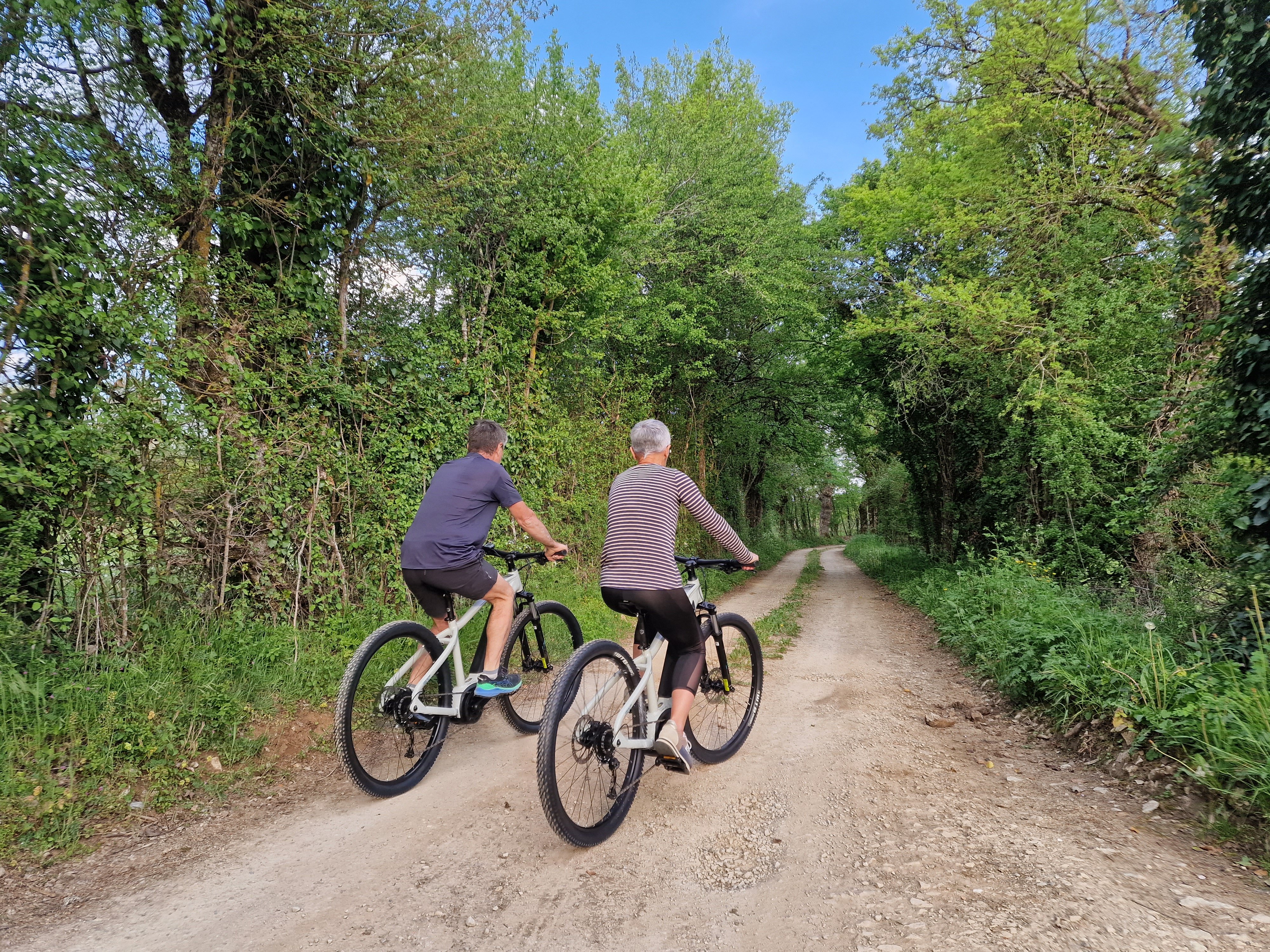 Allée des noyers, Saint-Michel-de-Bannières - photo 34