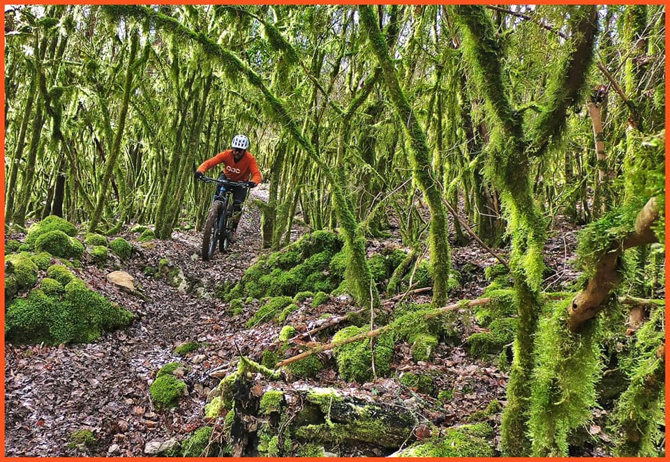 V-lot by Veloclic, Fontanes - photo 18