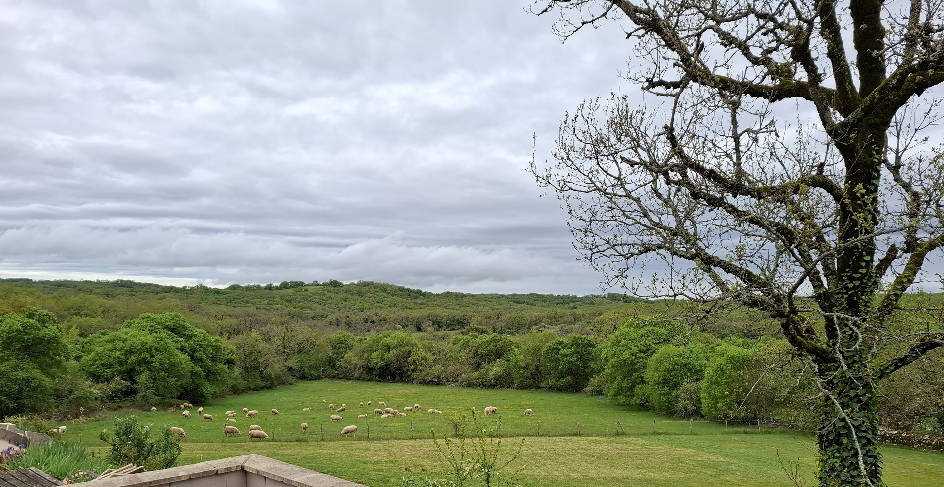 Gîte du causse Loubressac, Loubressac - photo 35