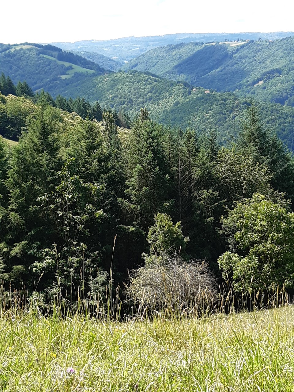 Gîte Mosaïque, Latouille-Lentillac - photo 4