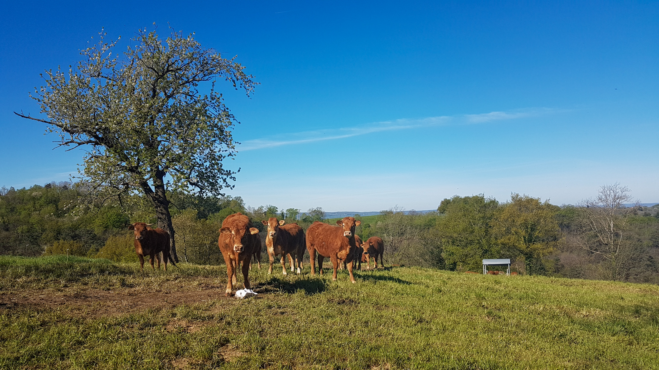 De Teyssieu à Estal, Teyssieu - photo 13