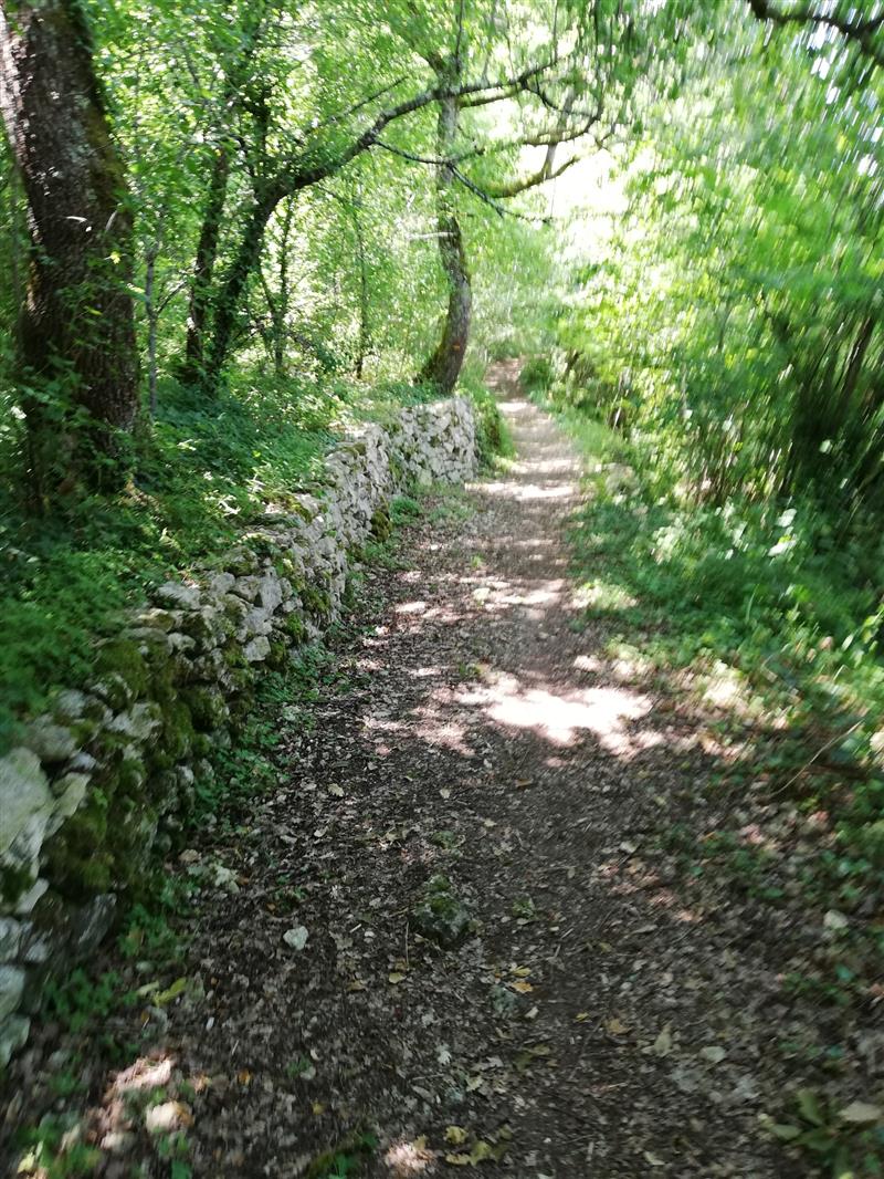 Vallon Lestang-adaunac (1)