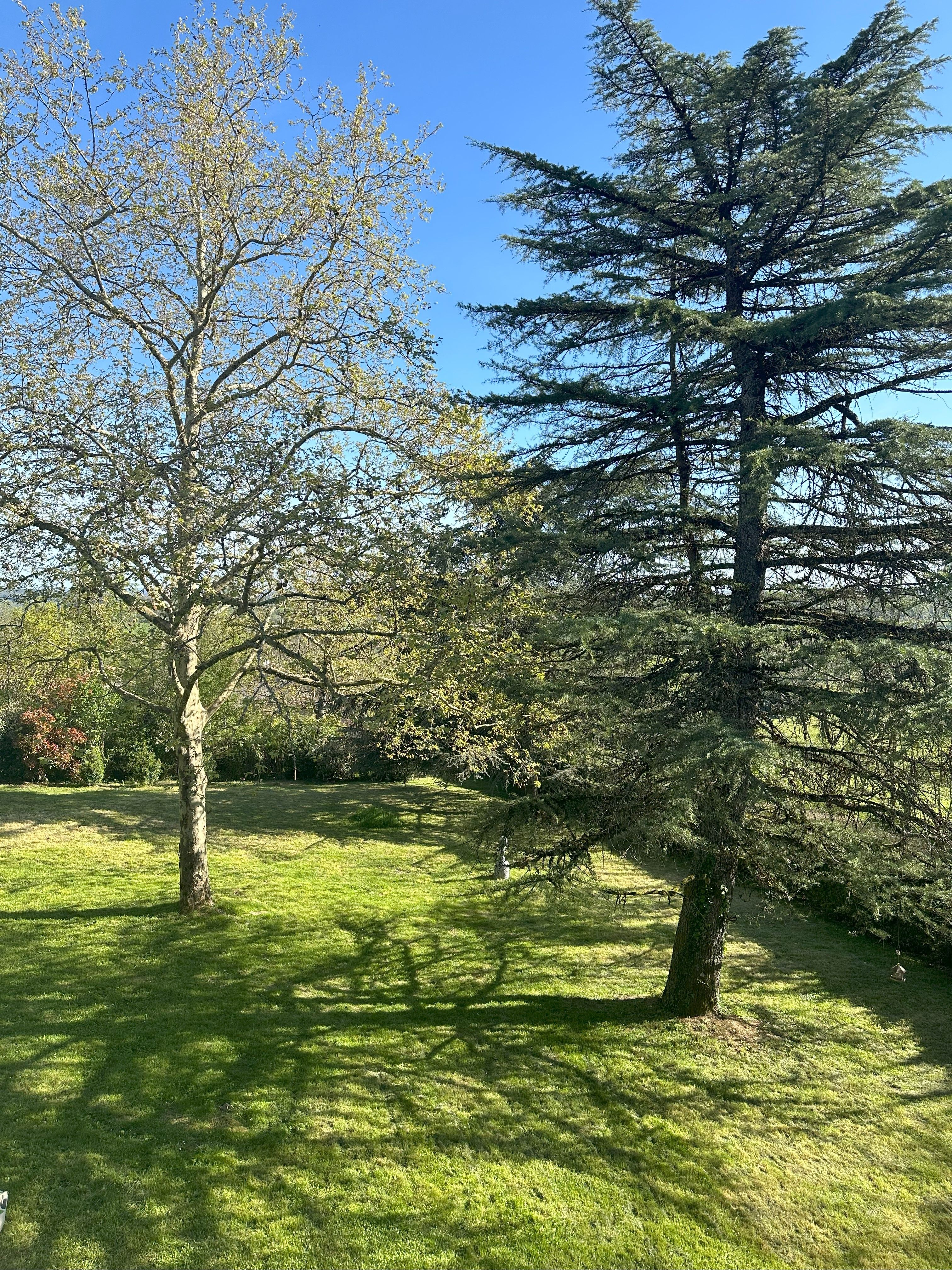 Vue de la chambre Verde