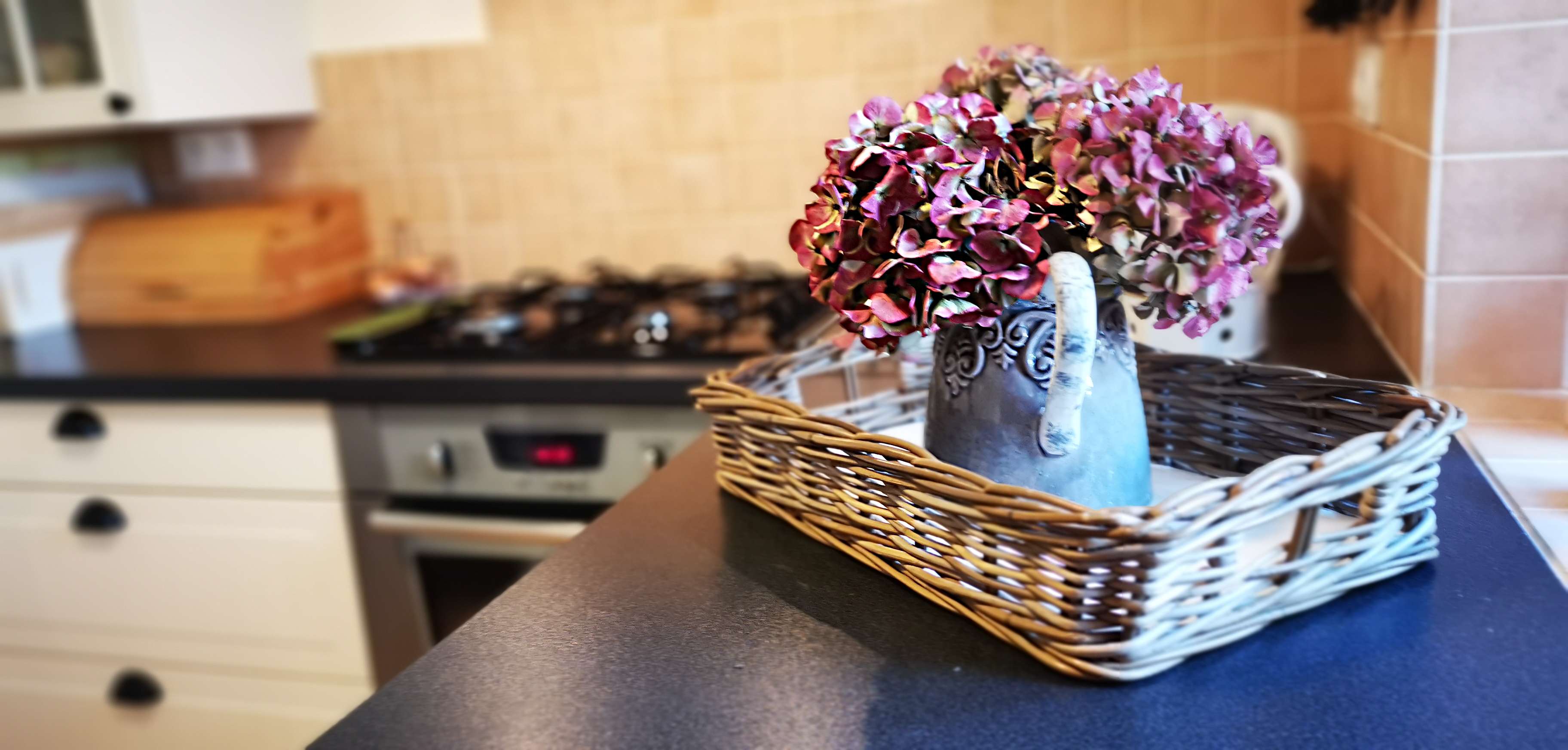 Domaine les Curades : le Verger, Rampoux - photo 5