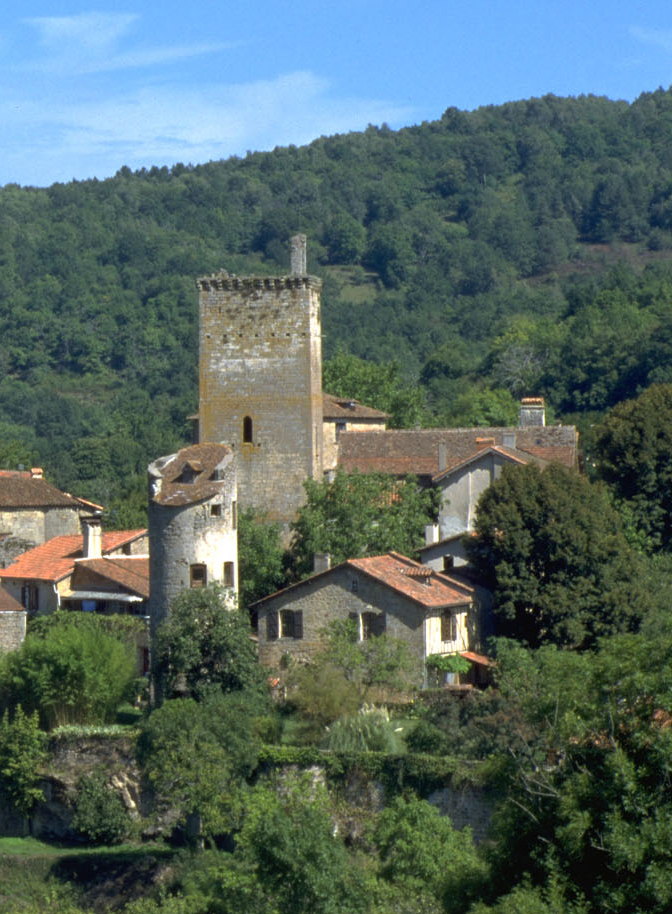 Vestiges du Fort médiéval à cardaillac