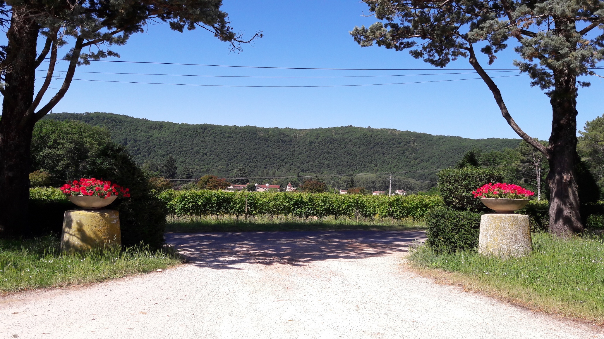 Château les Grauzils