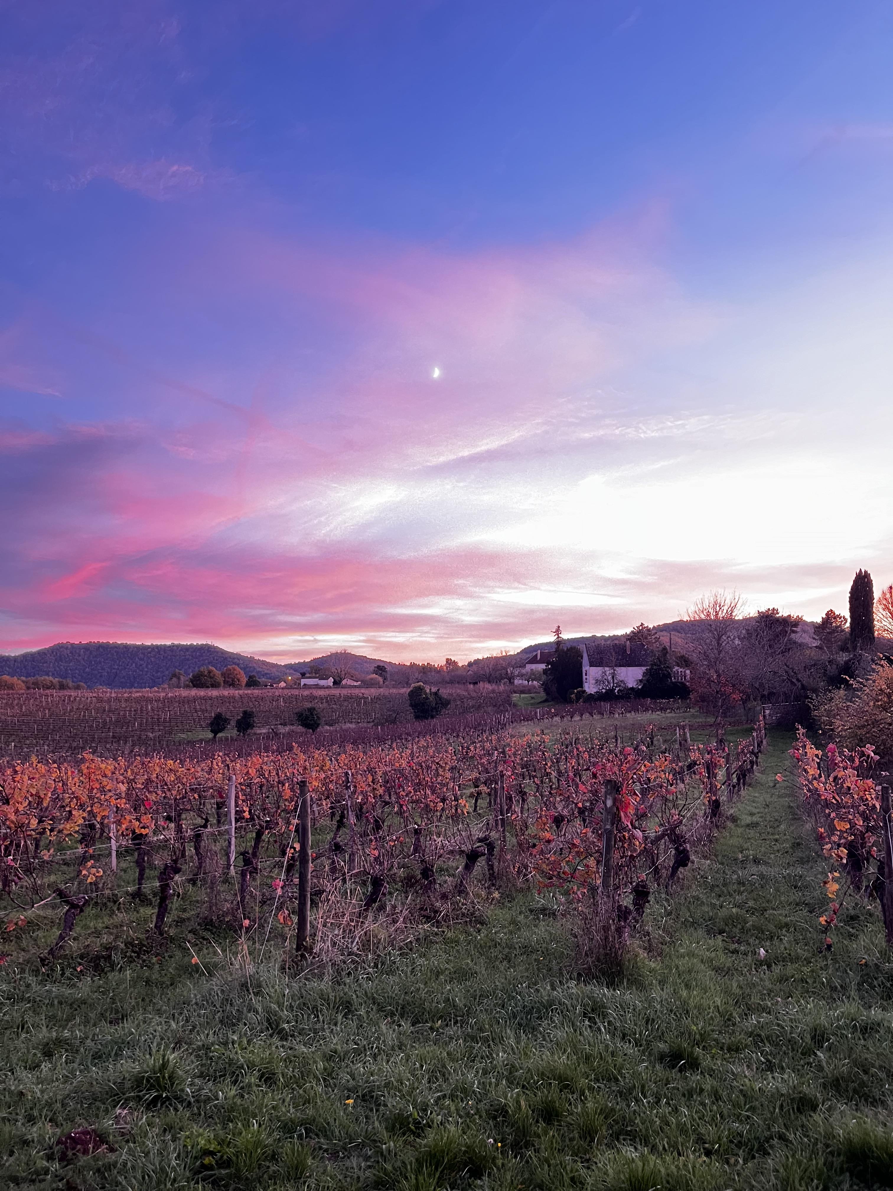 Pont Valentré et le Lot, Caillac - photo 14