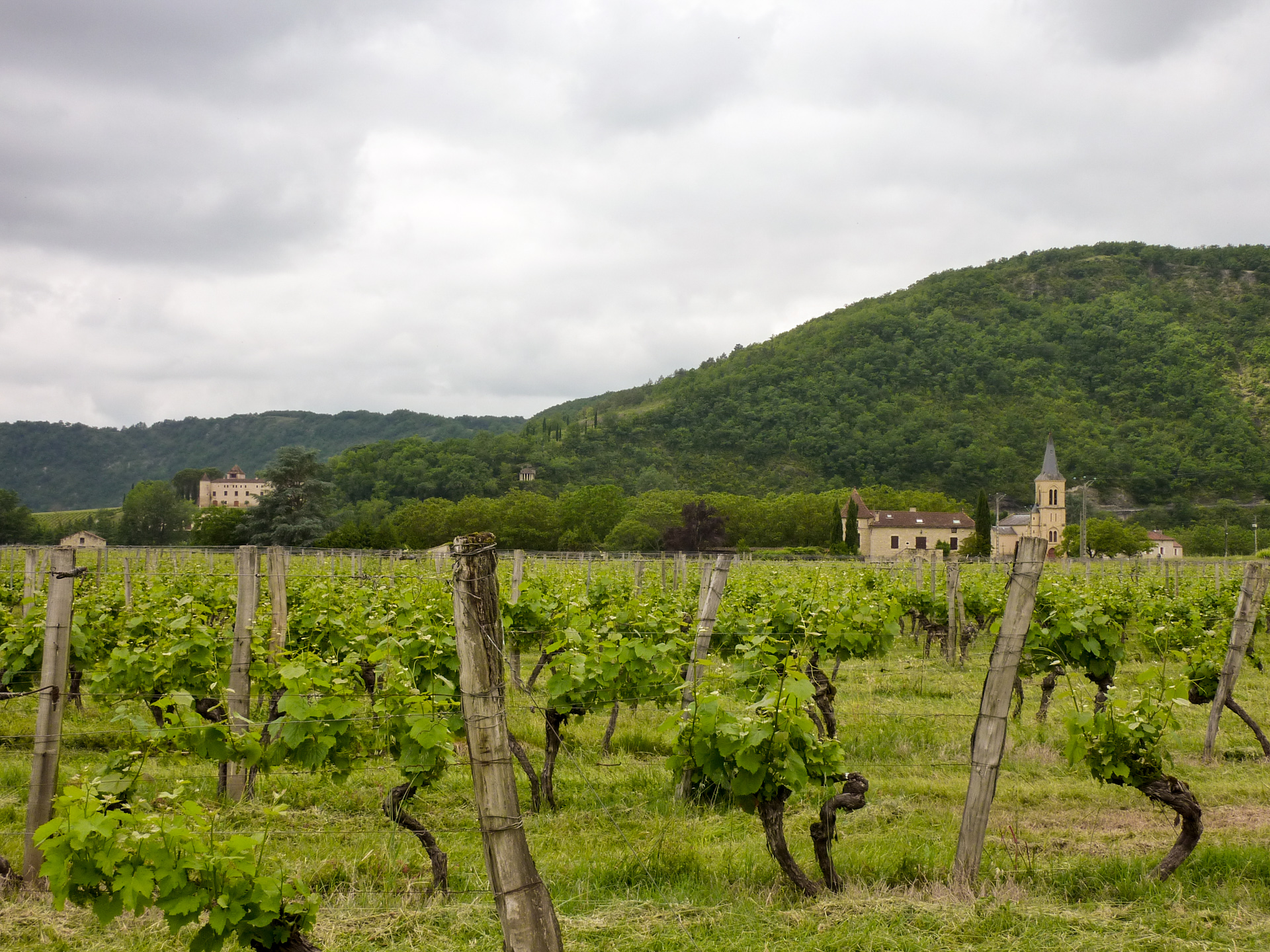 Sur la Route des Vignes, Parnac - photo 11