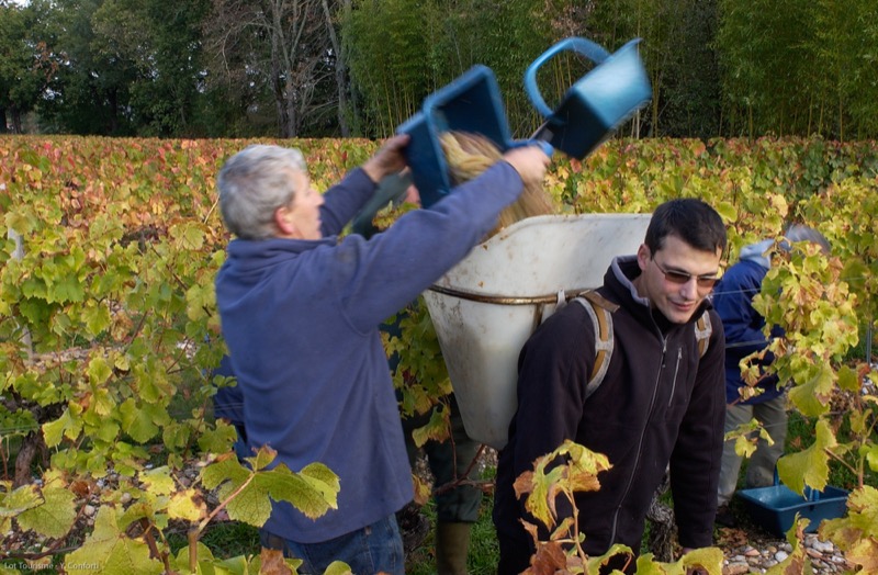 Vignoble de Cahors