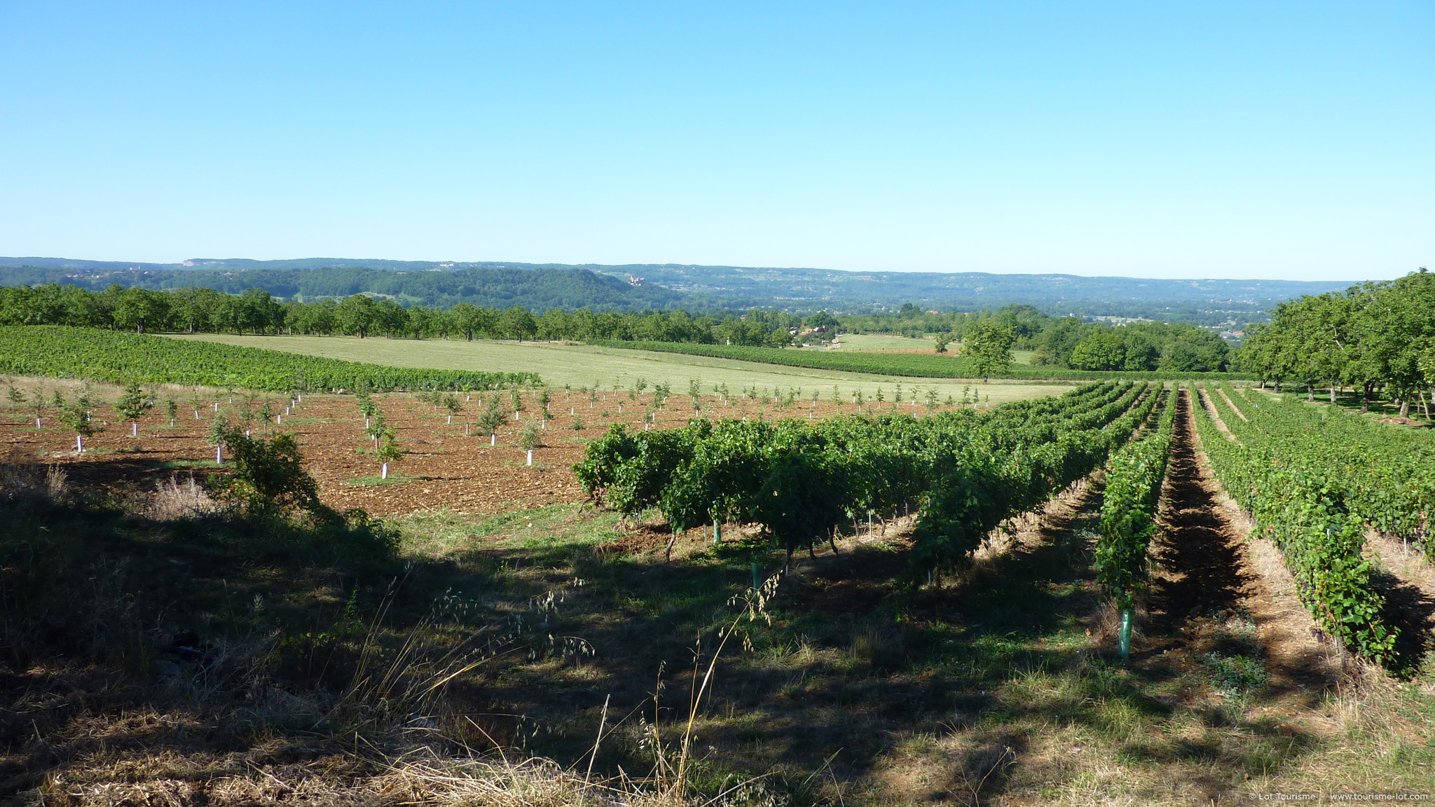 Vignes et Vallons, Bretenoux - photo 6