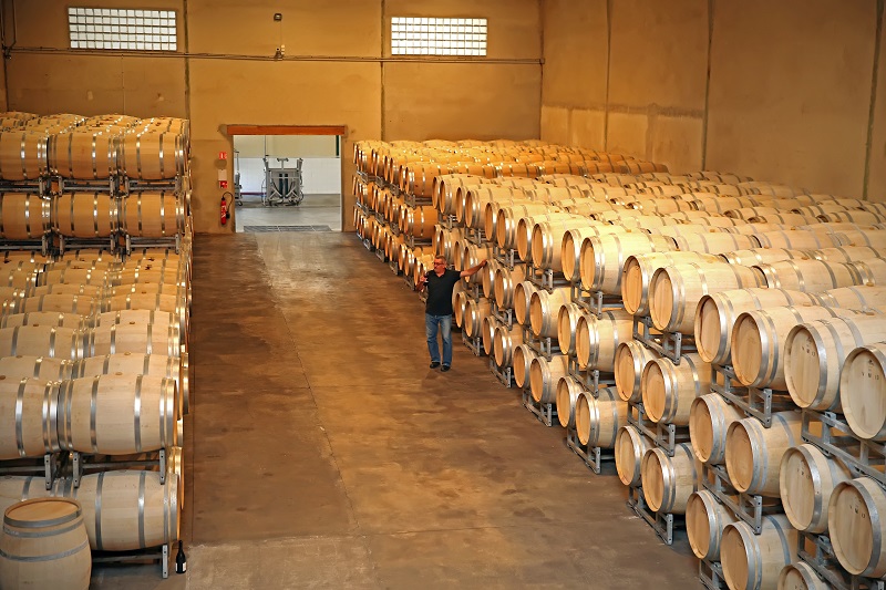 Vinovalie - Union des Caves Coopératives Côtes d'Olt — photo 3