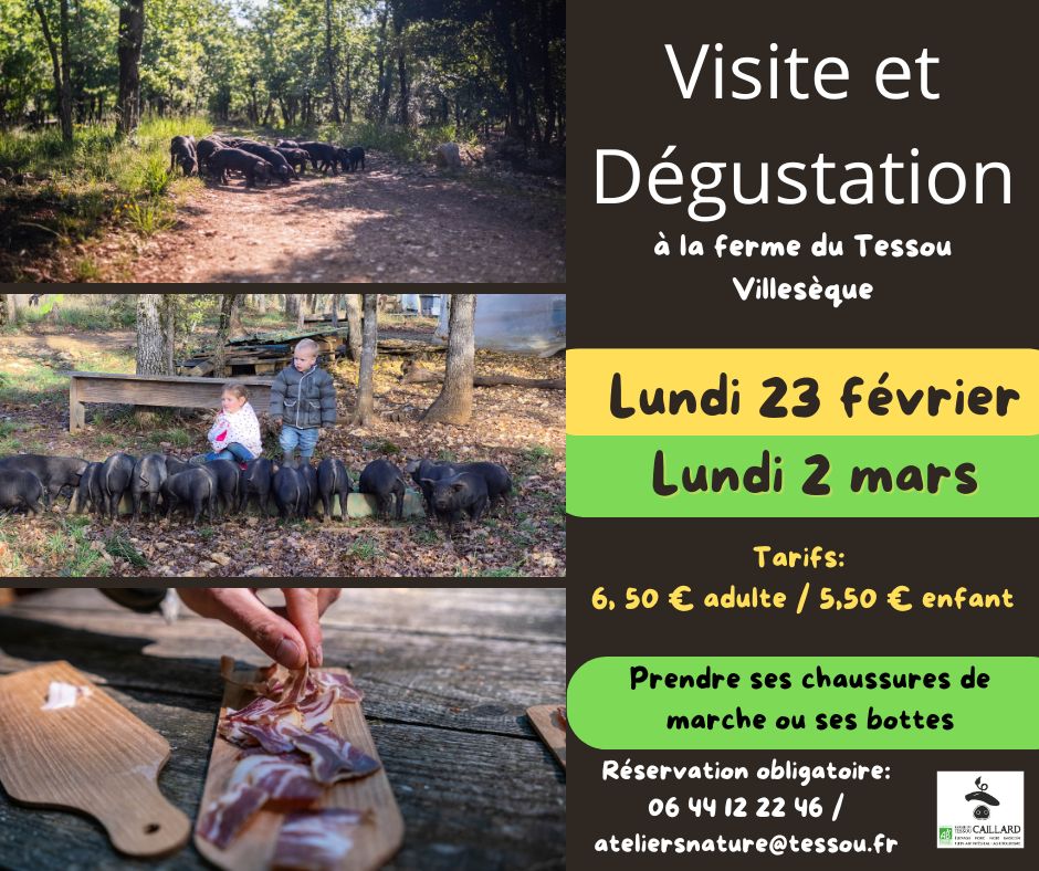Visite et dégustation à la ferme du Tessou