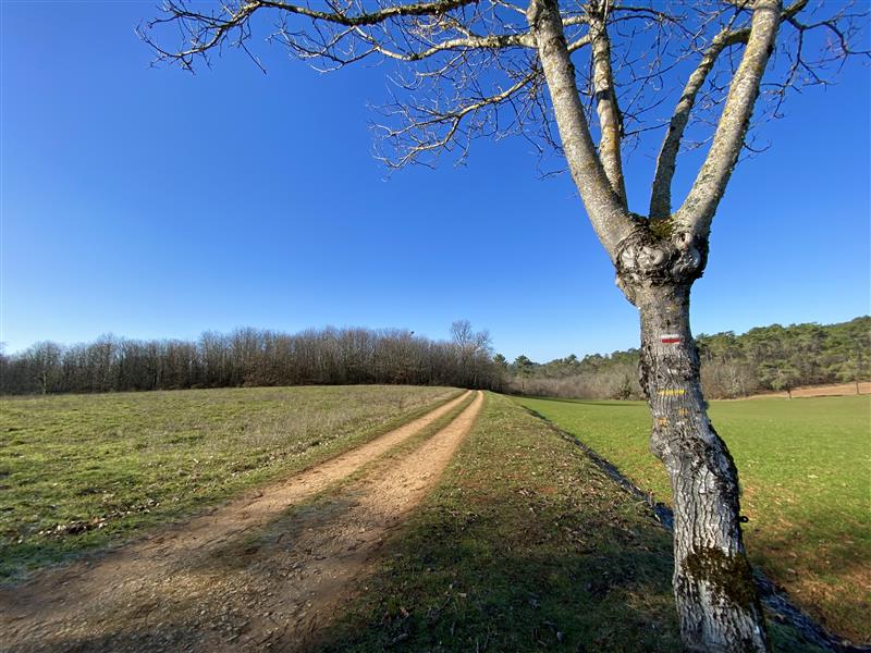 Vue sur Tougnanes