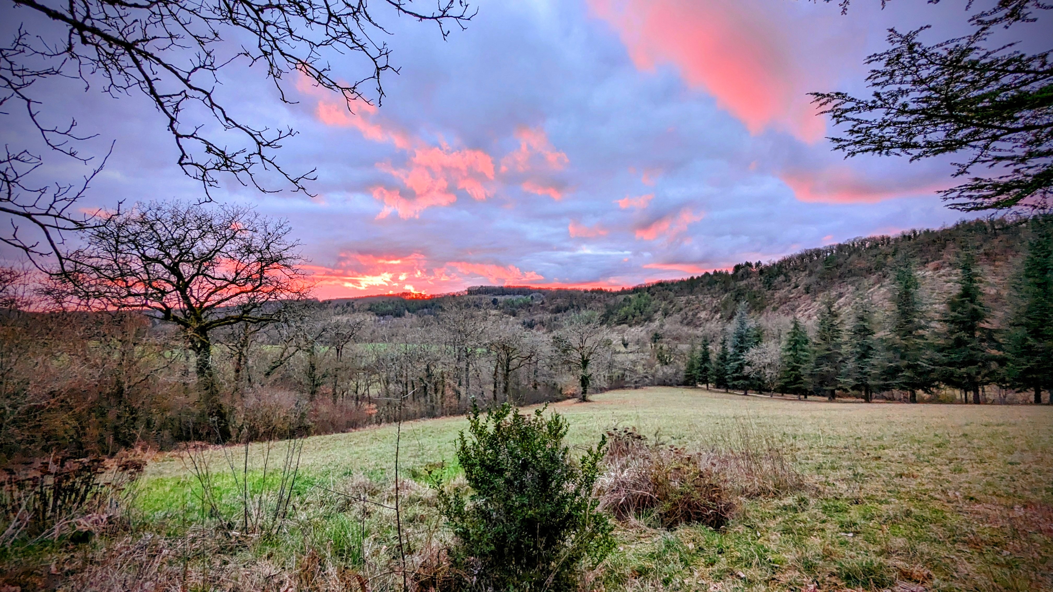 Vue sur la propriété (chemin d'accès par l'allée de pins)
