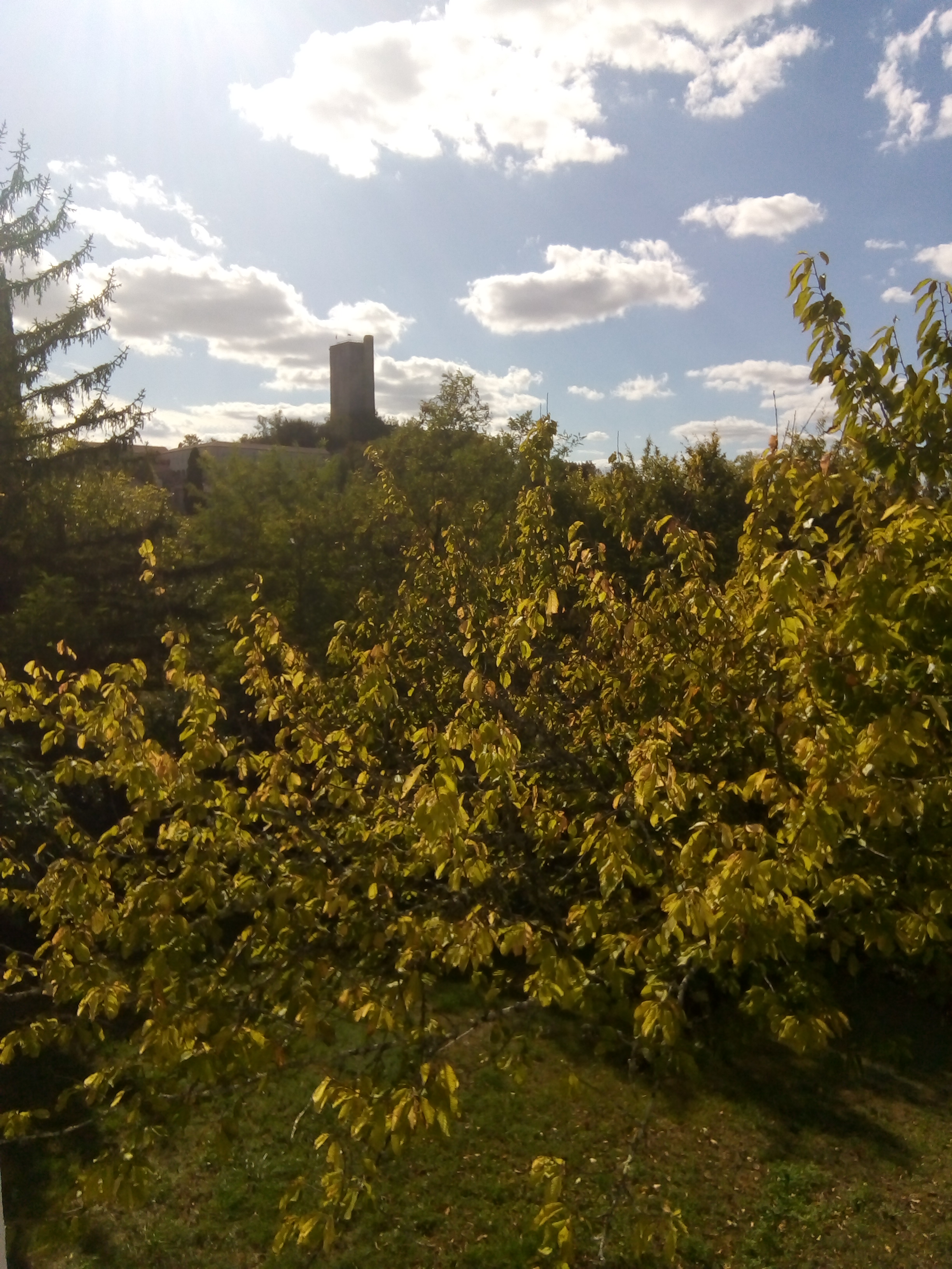 Vue sur la Tour, Montcuq-en-Quercy-Blanc - photo 25