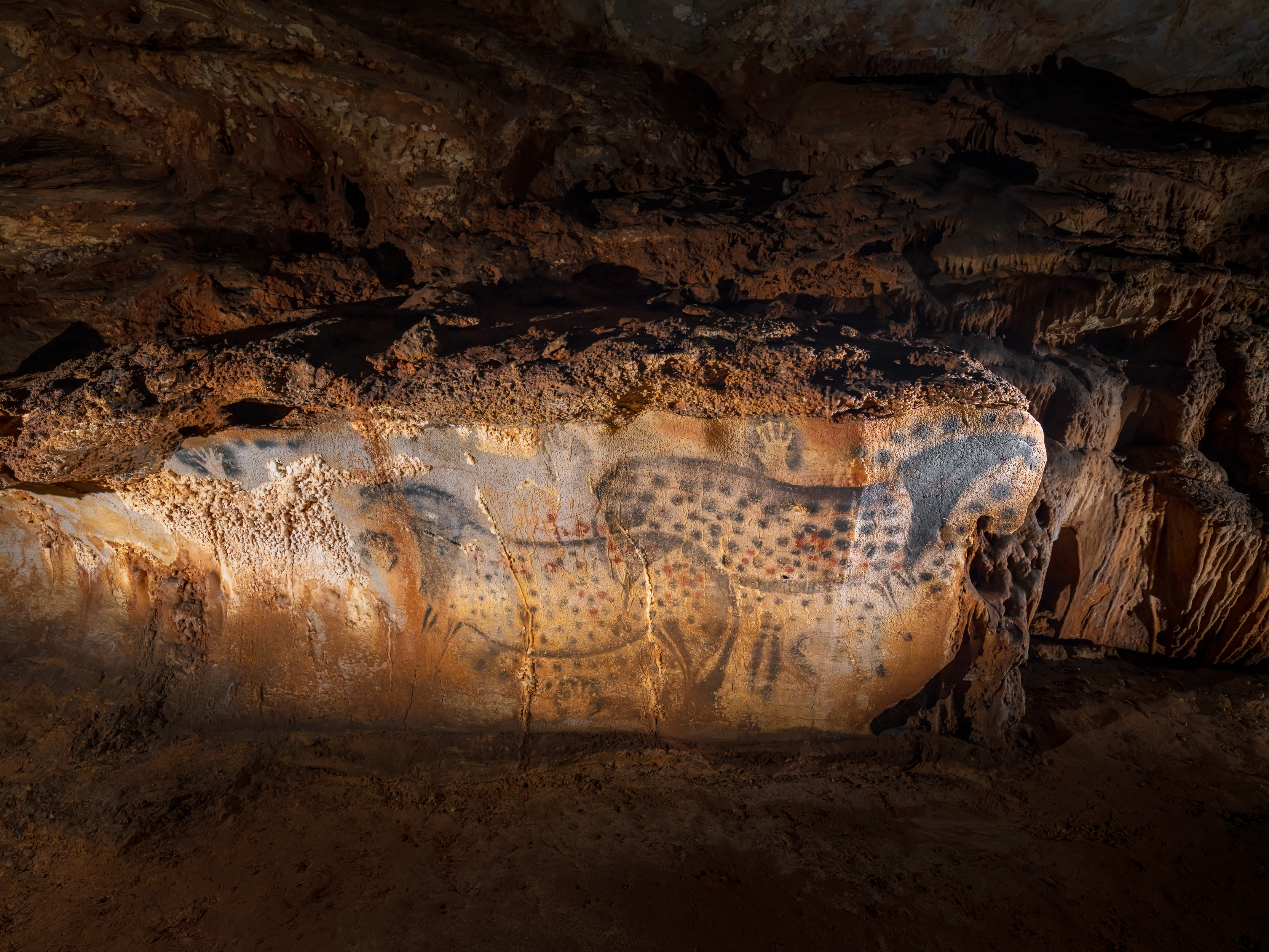 Chevaux ponctués - vue très large - Grotte du Pech Merle