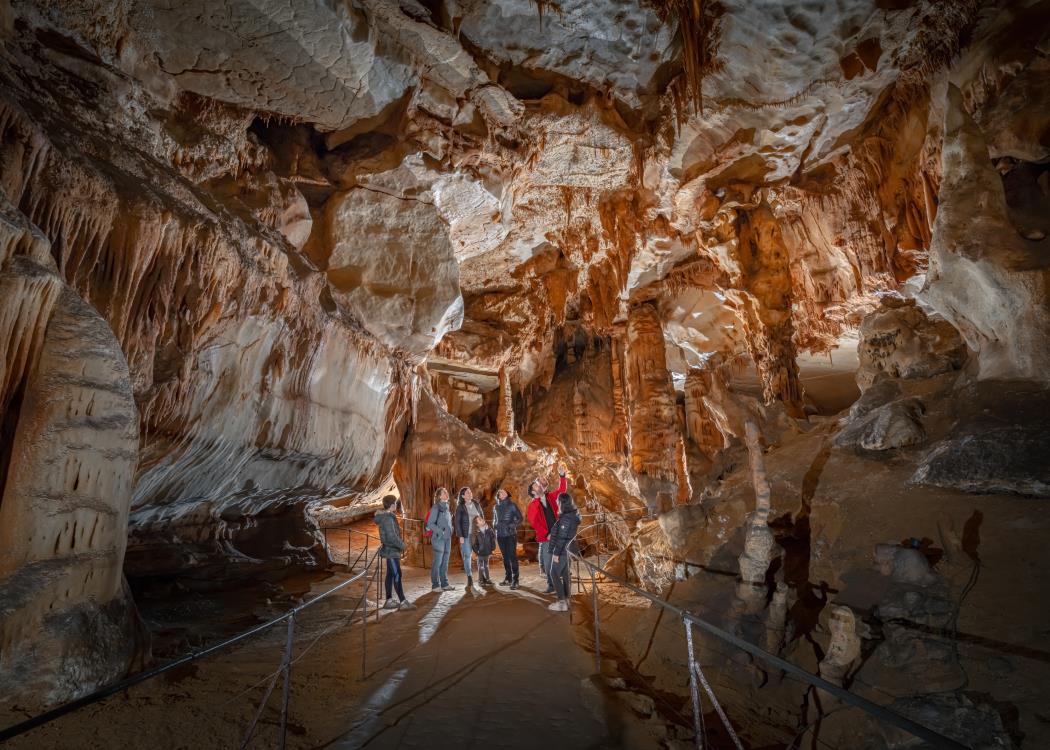Galerie de l'Ours - vue large - Grotte du Pech Merle