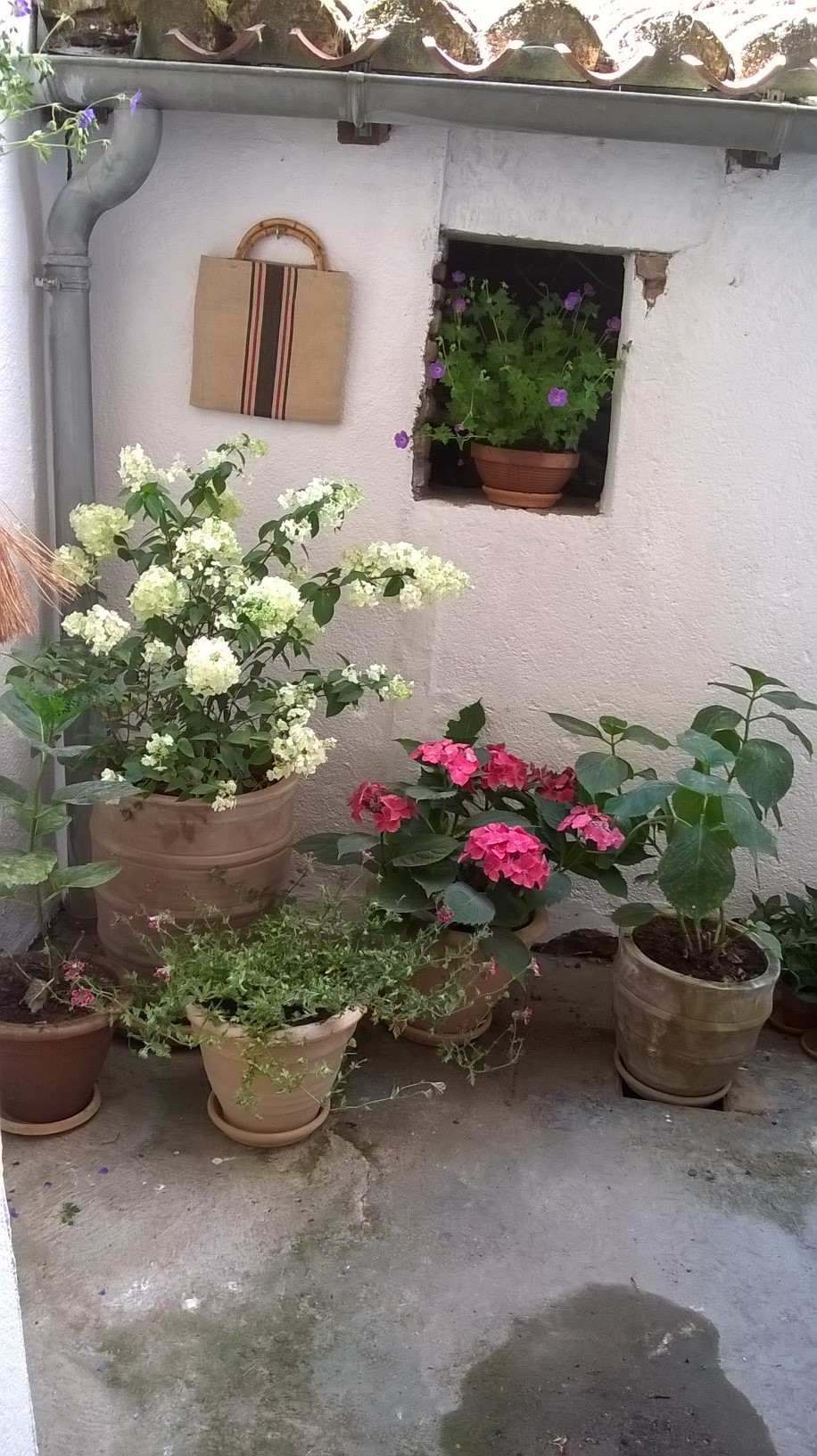 L'Atelier 55, Cahors - photo 6