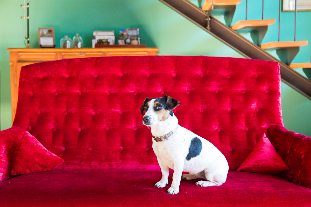 Domaine de Labarthe - Chambres d'hôtes, Espère - photo 19