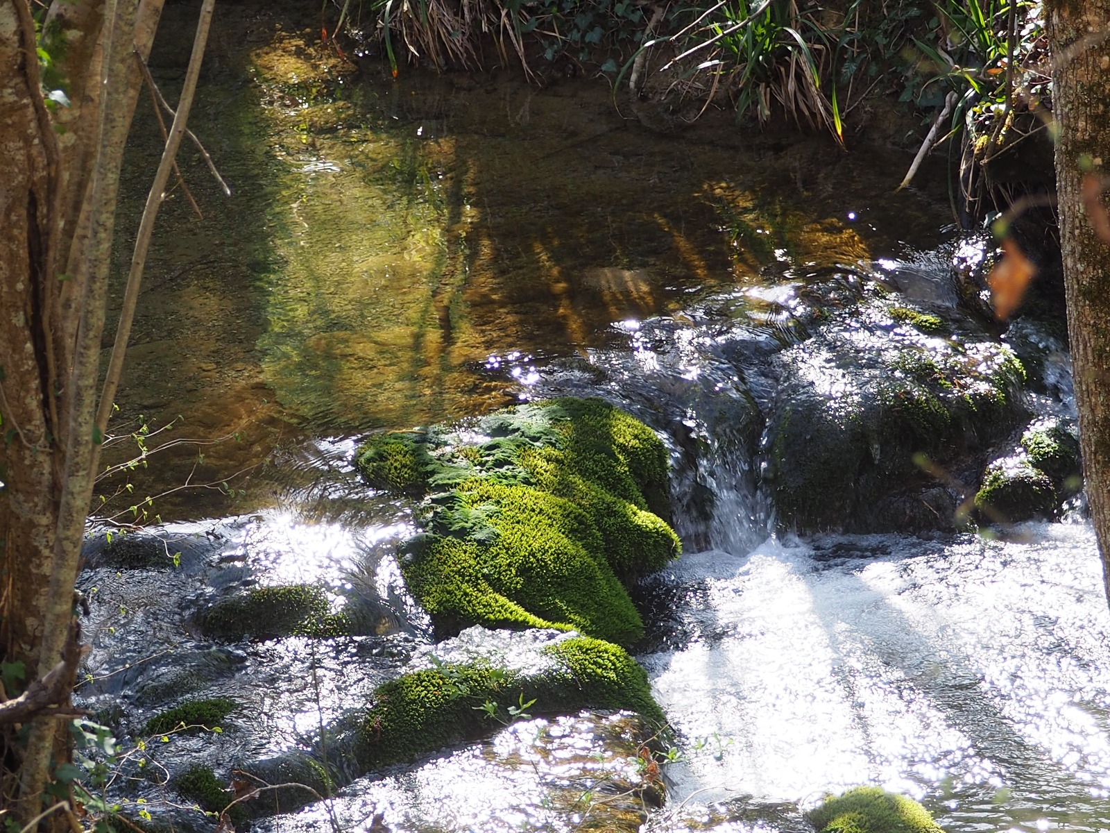 Moulin Bas Prés de la Rivière, Carnac-Rouffiac - photo 16