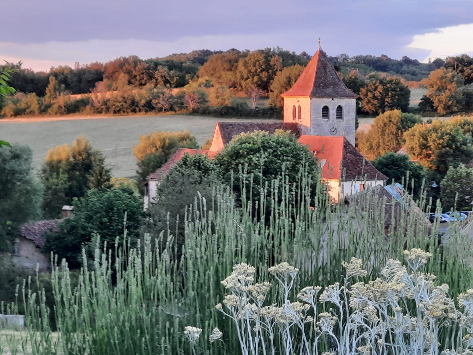 L’ Ane Papillon, Saint-Cirq-Souillaguet - photo 25
