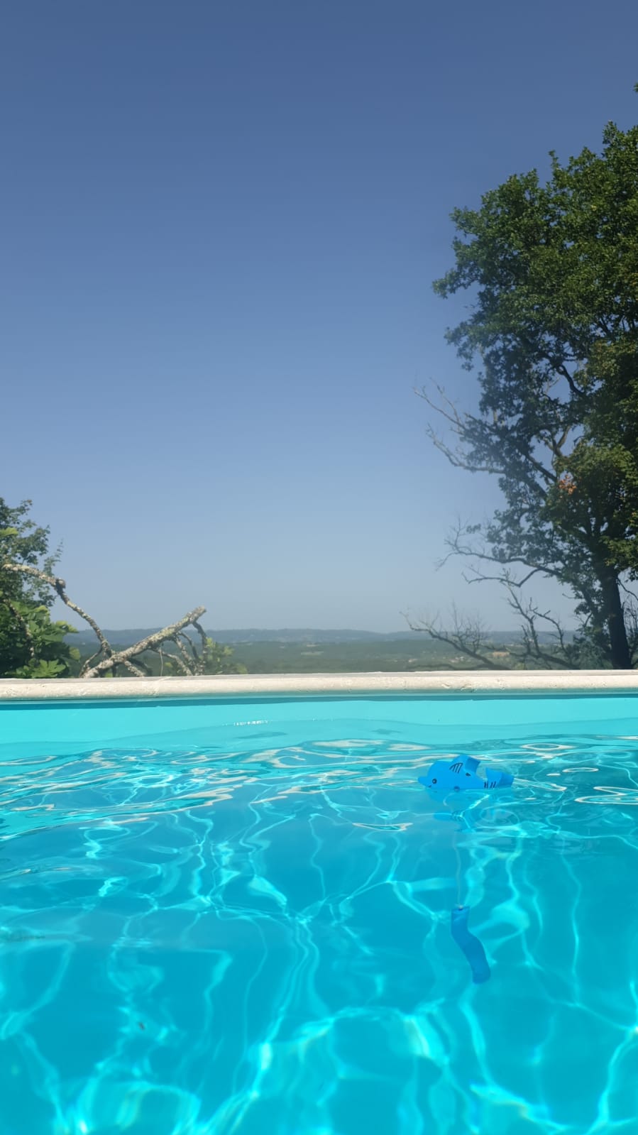 La Forêt aux Loups, Cavagnac - photo 4