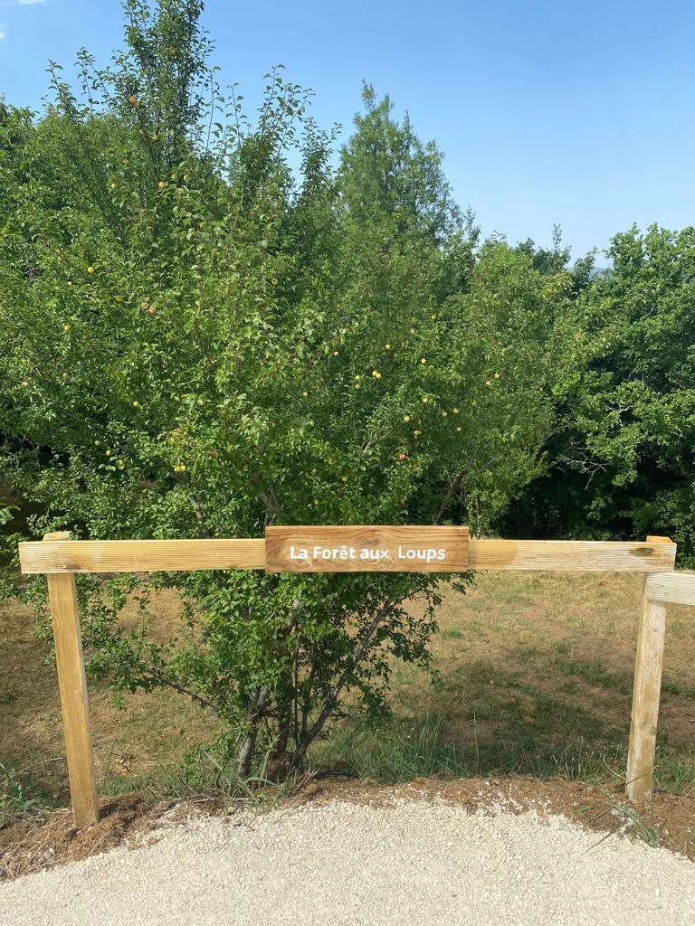 La Forêt aux Loups, Cavagnac - photo 20