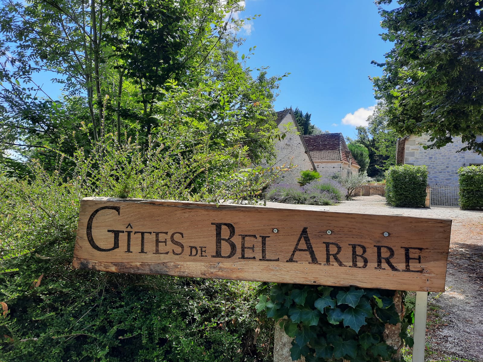 Le Petit Olivier, Saint-Cirq-Souillaguet - photo 18