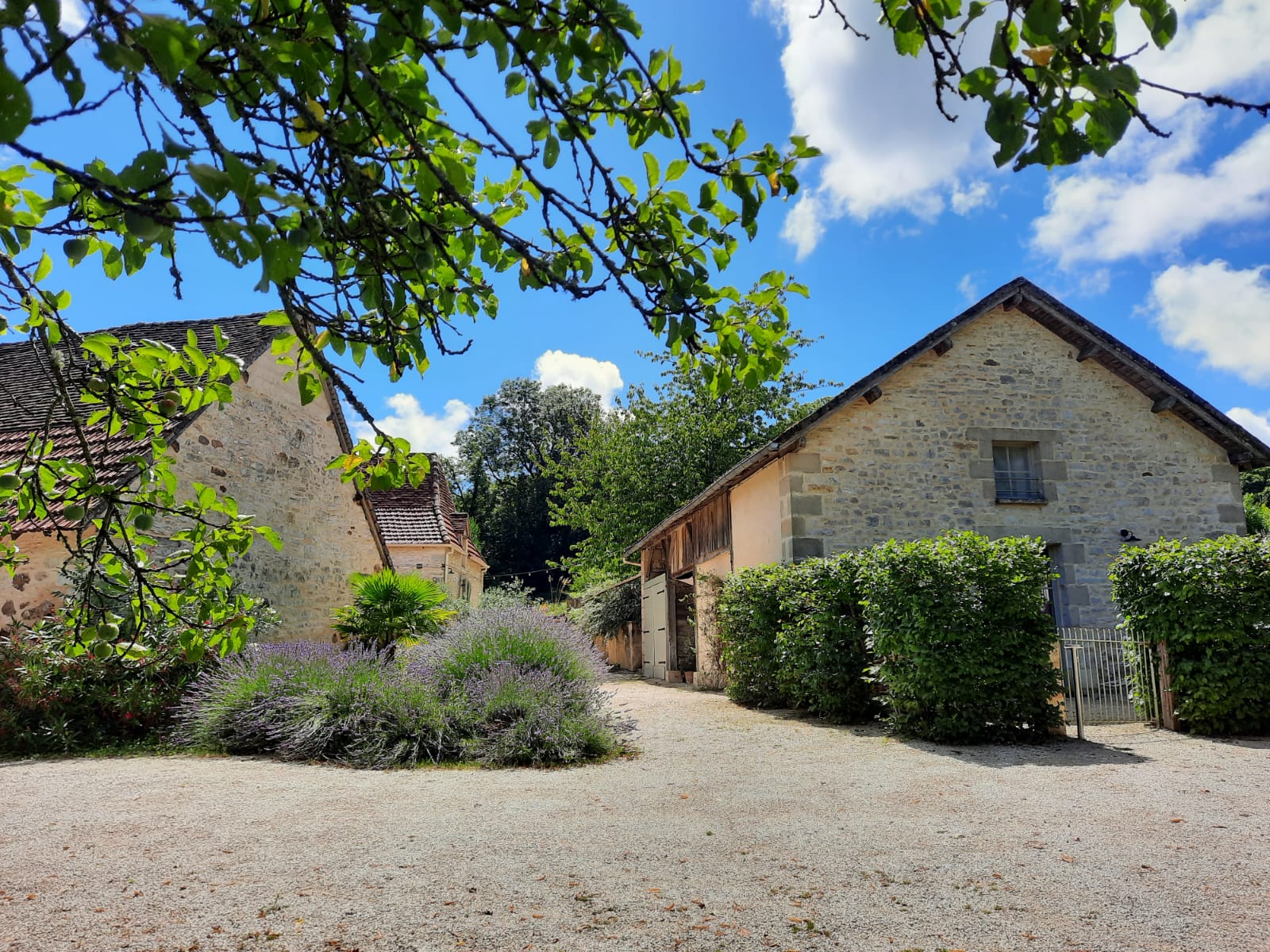 Le Petit Olivier, Saint-Cirq-Souillaguet - photo 19