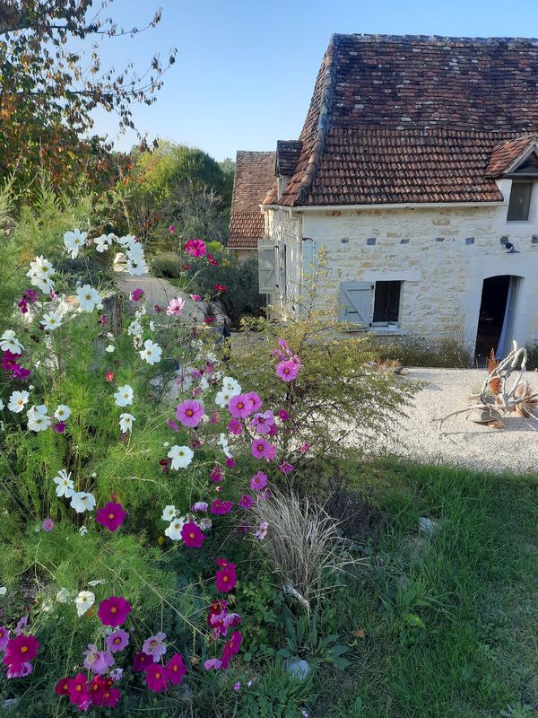 Le Petit Olivier, Saint-Cirq-Souillaguet - photo 24