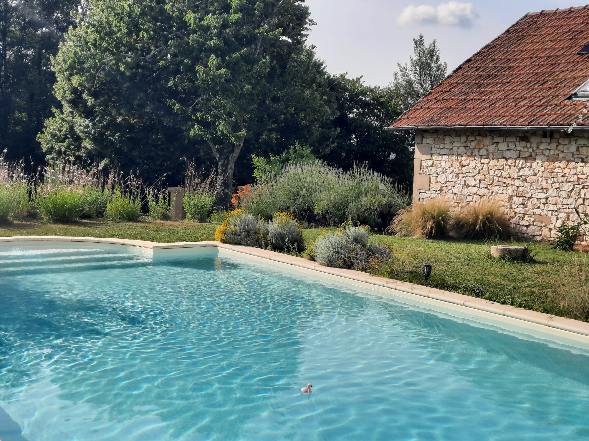 Le Petit Olivier, Saint-Cirq-Souillaguet - photo 25