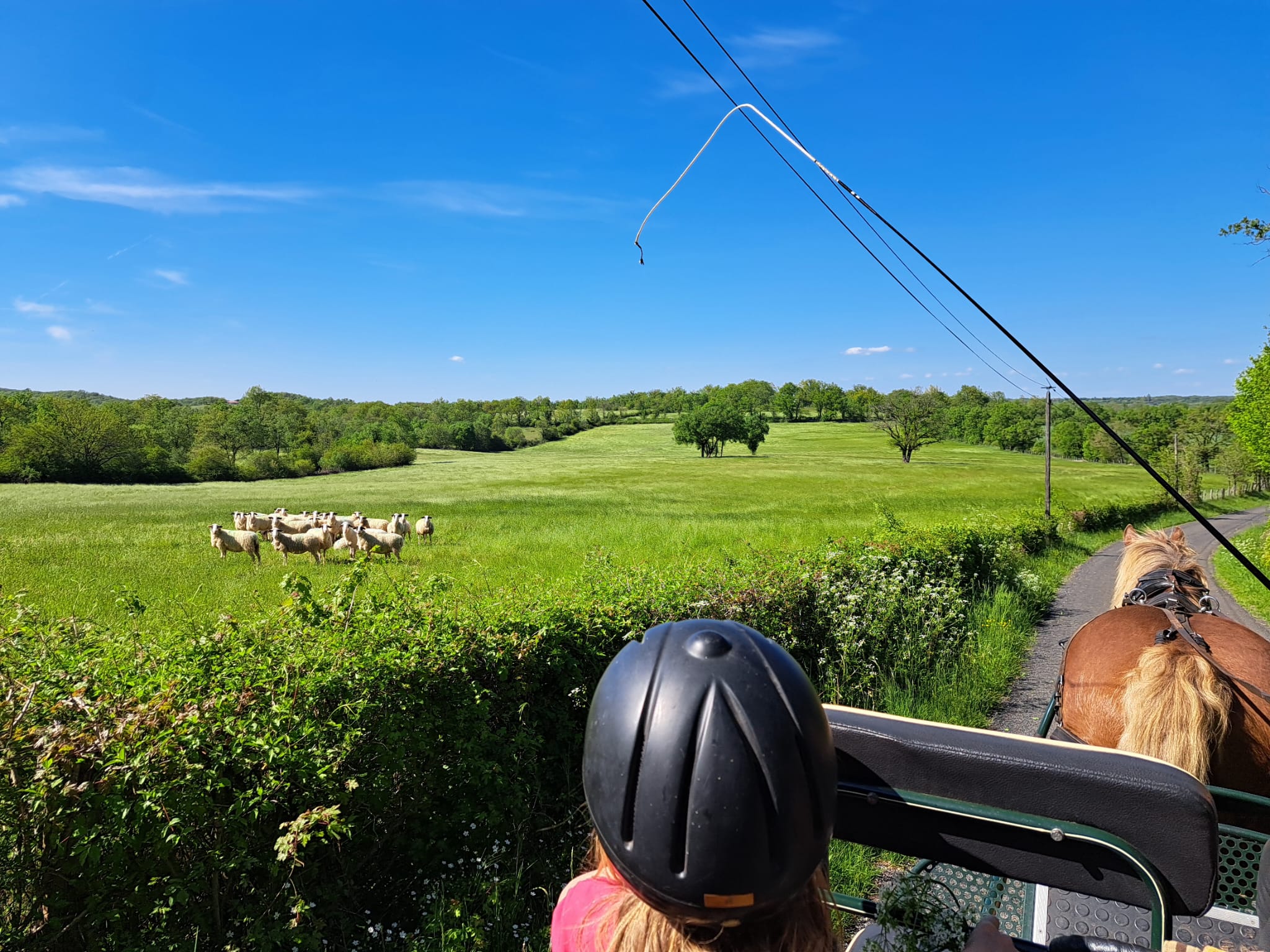 Aequita-vie, Caniac-du-Causse - photo 7