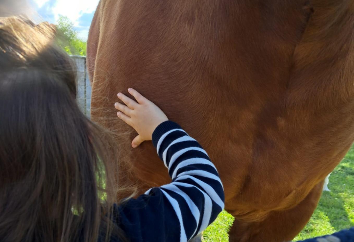 Aequita-vie, Caniac-du-Causse - photo 9