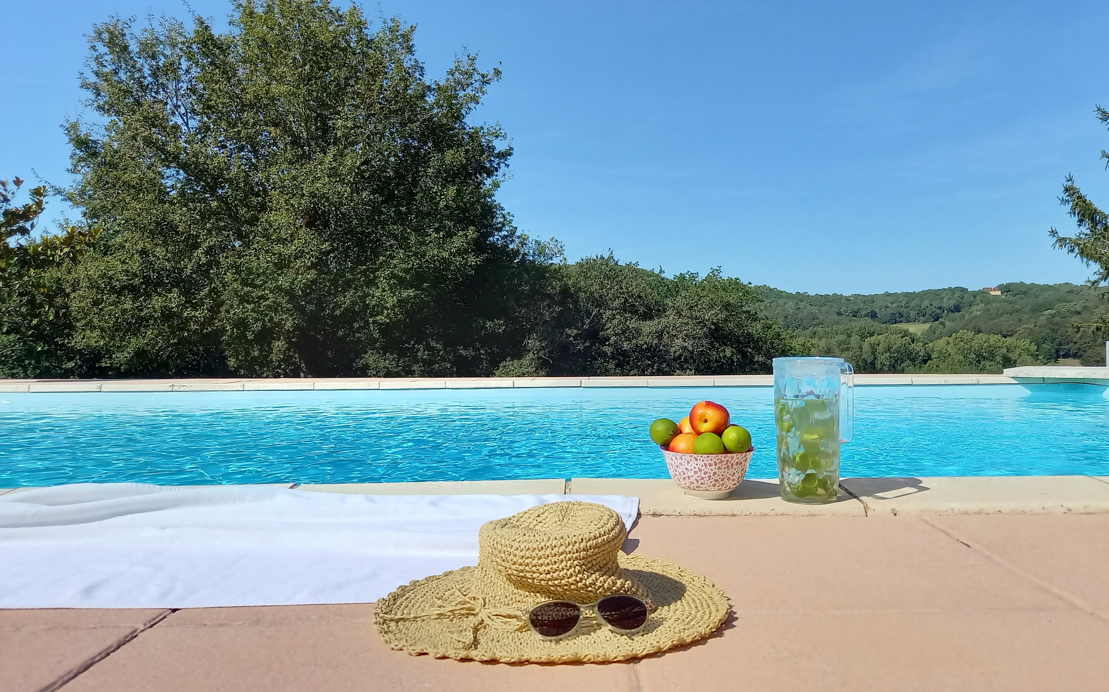 Domaine Le Martinet : La Forge, Les Arques - photo 9