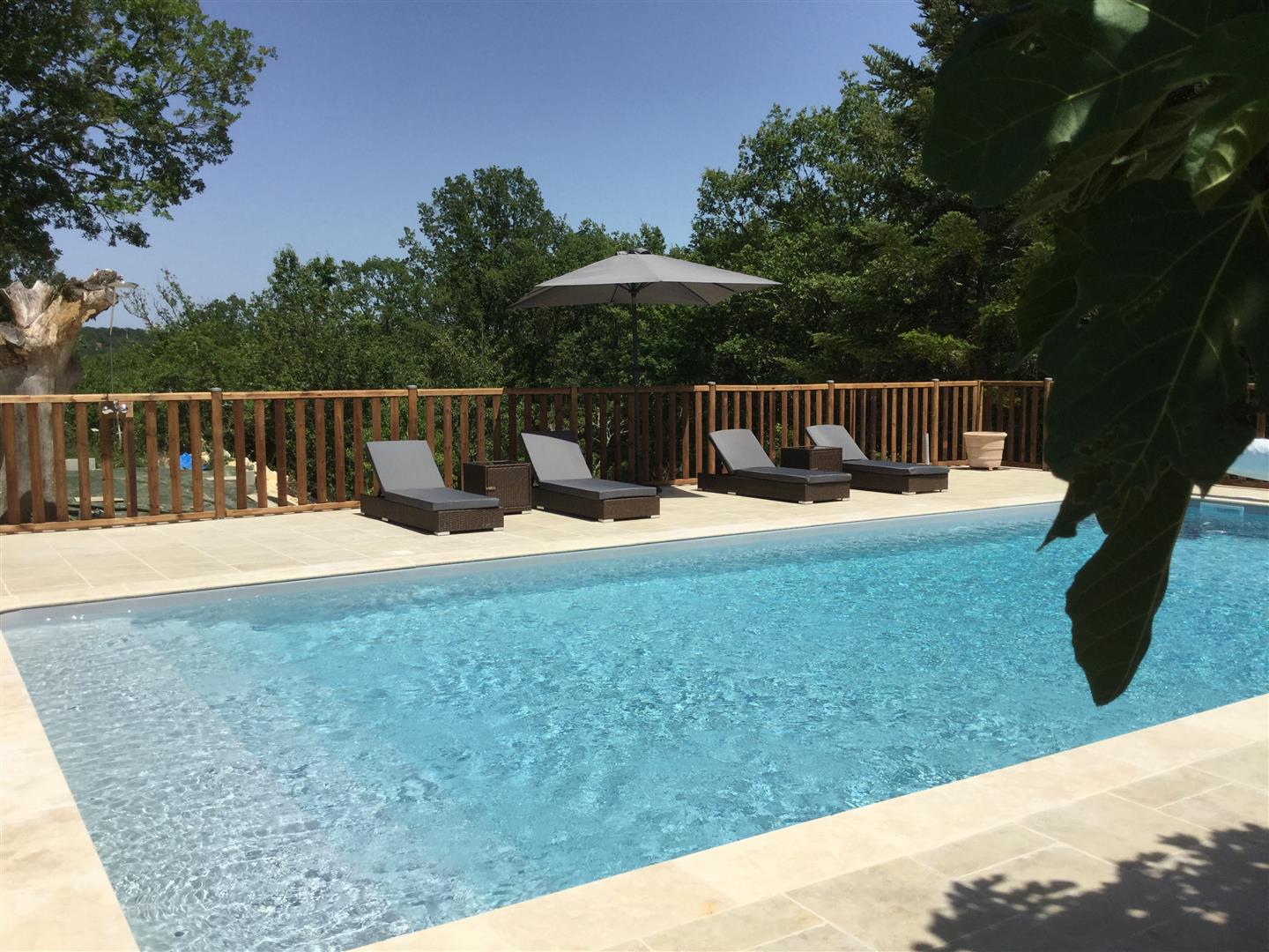 Roc De Latge : Mésange Bleue, Salviac - photo 15