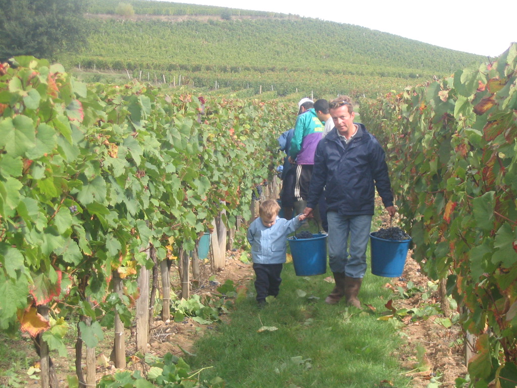 Domaine de Marcilhac — photo 3