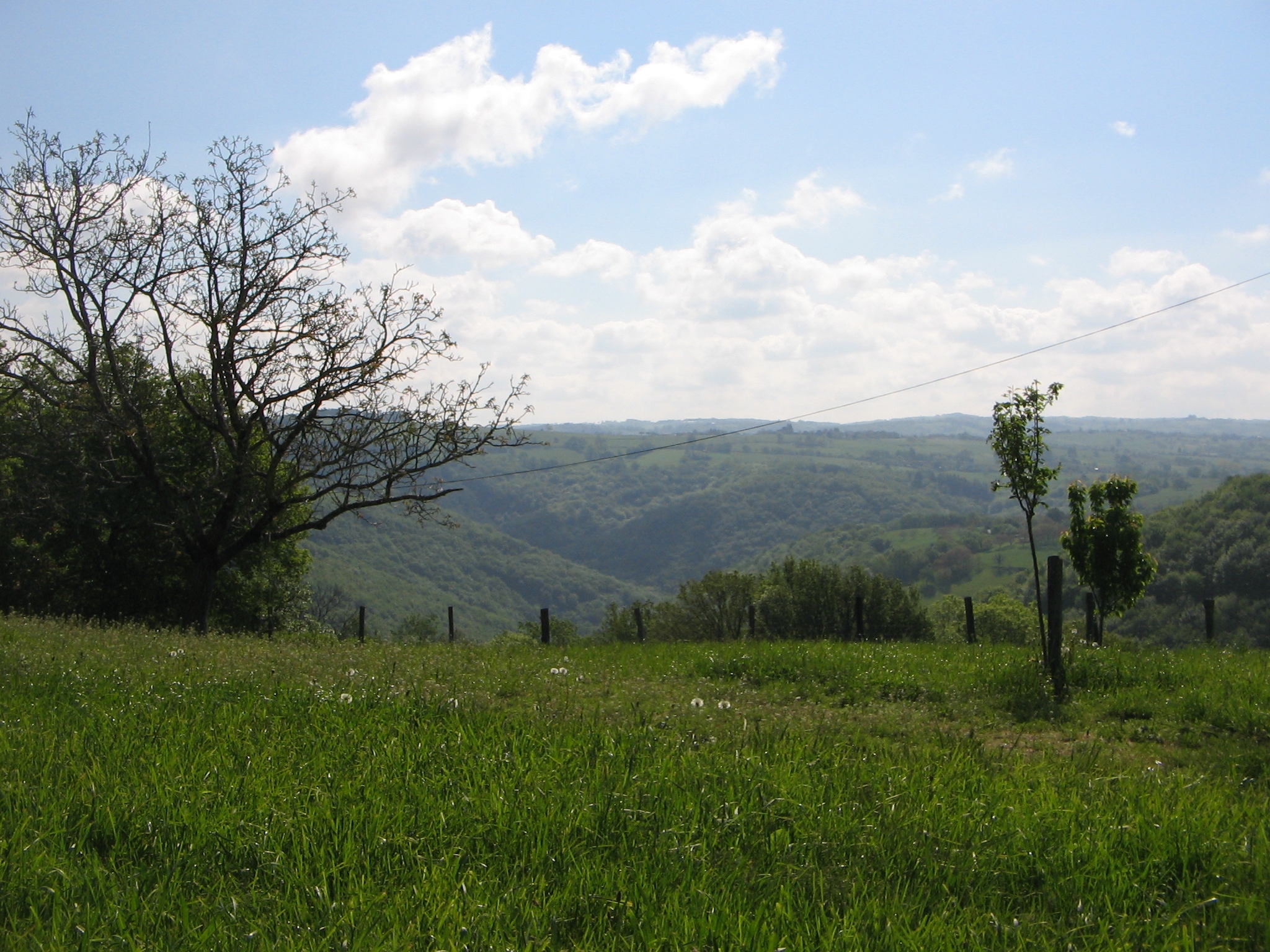Gîte de France à Négral, Saint-Vincent-du-Pendit - photo 4