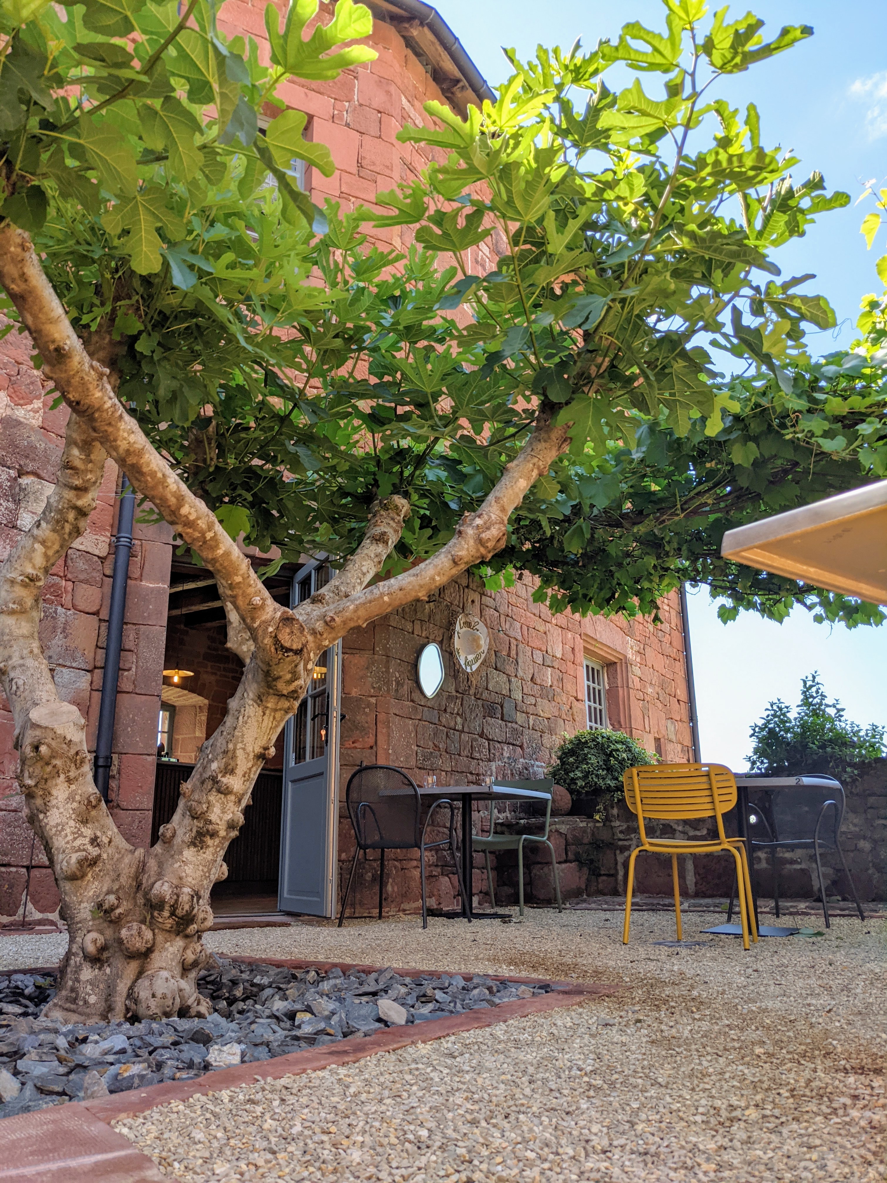 à l'ombre du figuier-collonges la rouge