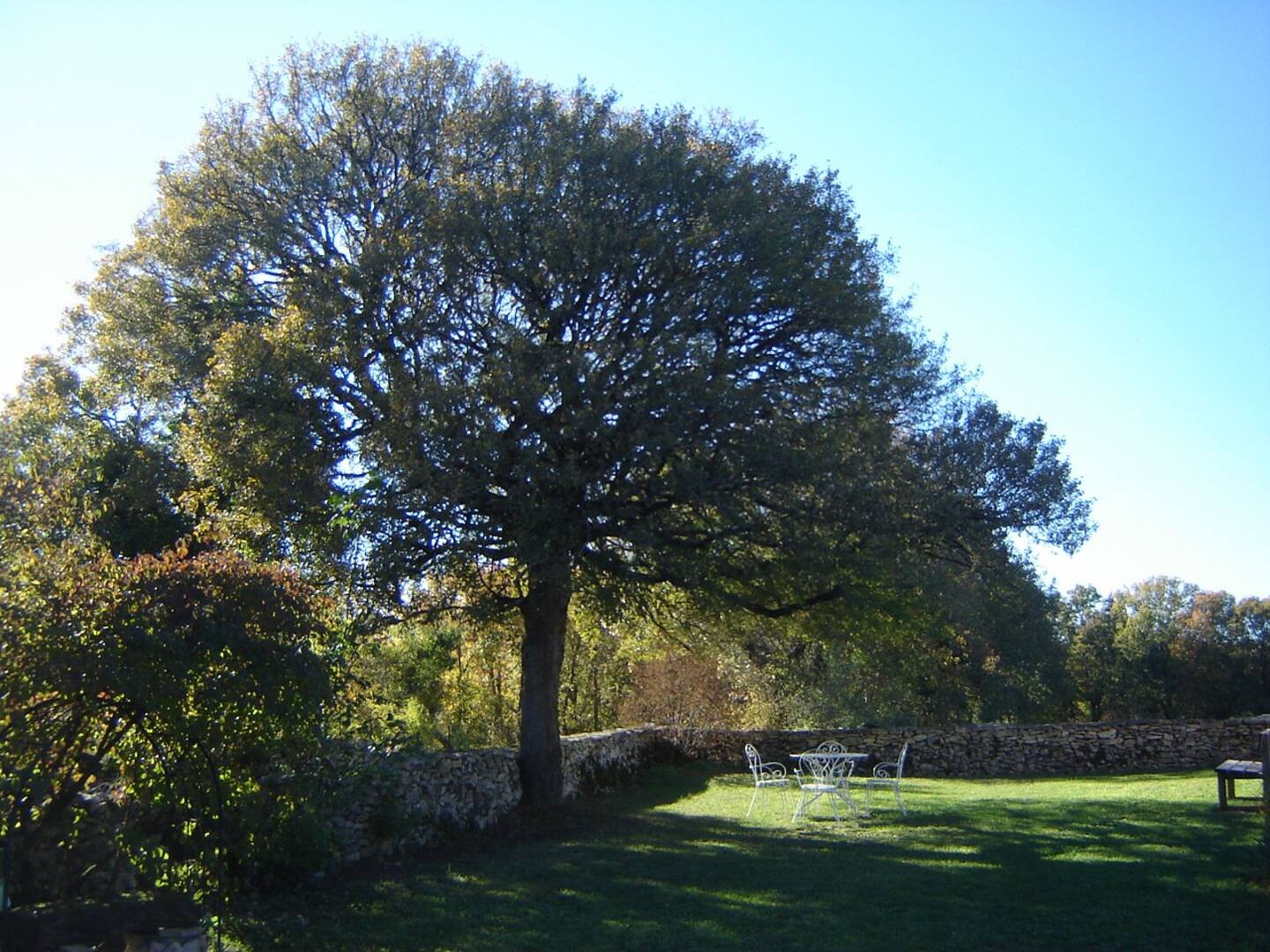 Gîte Versailles, Séniergues - photo 11