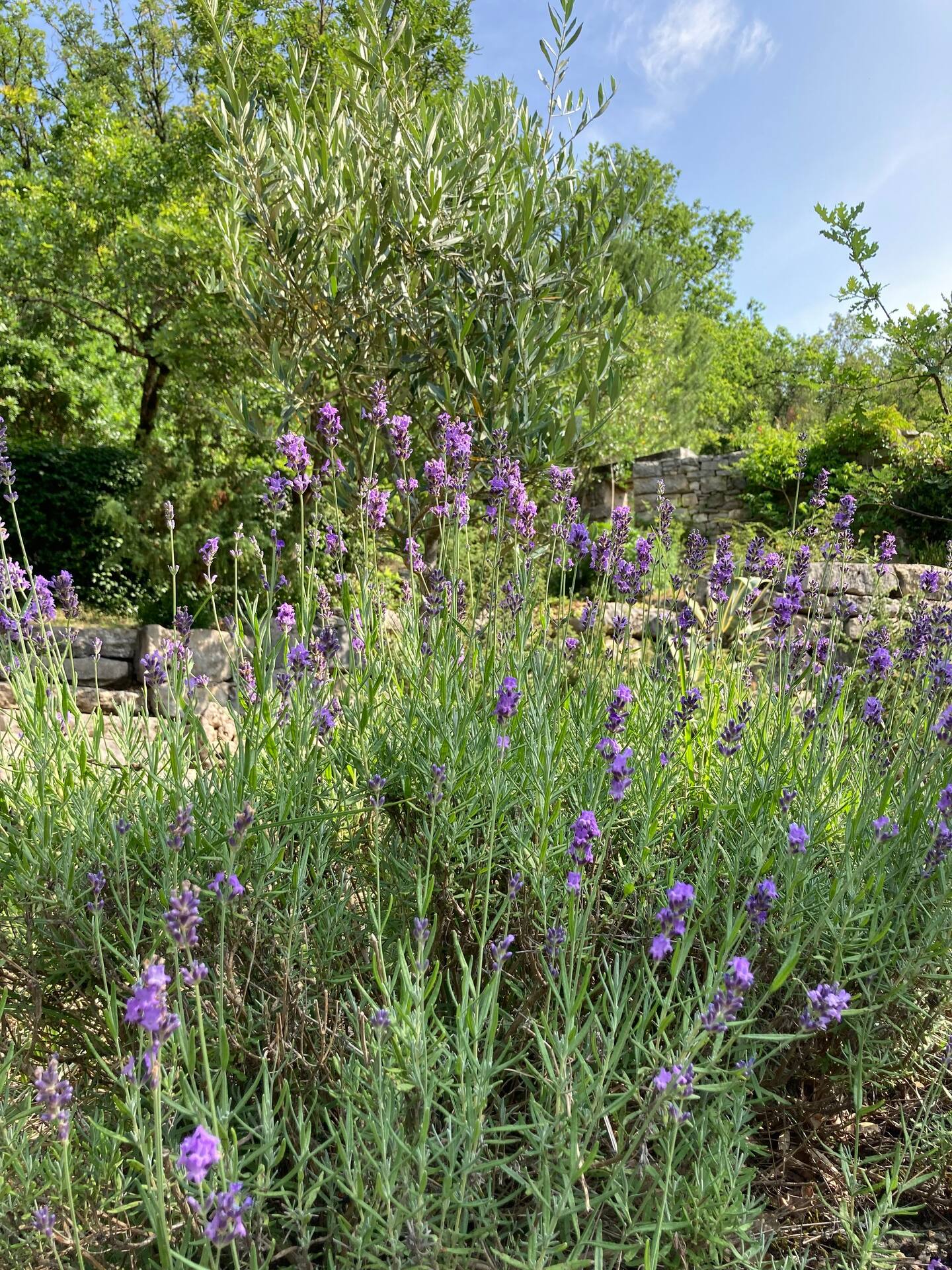 Le gîte du Mas de Doucet, Montbrun - photo 13