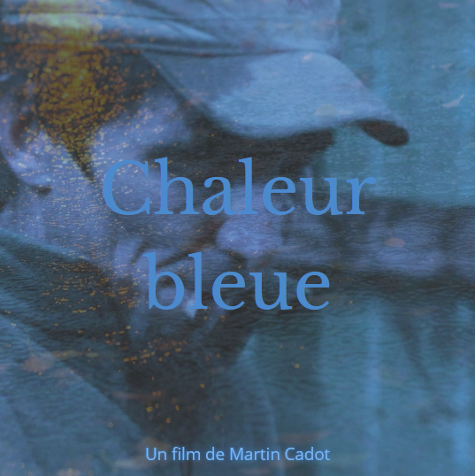 Soirée cinéma au Manoir de Laroque Delprat