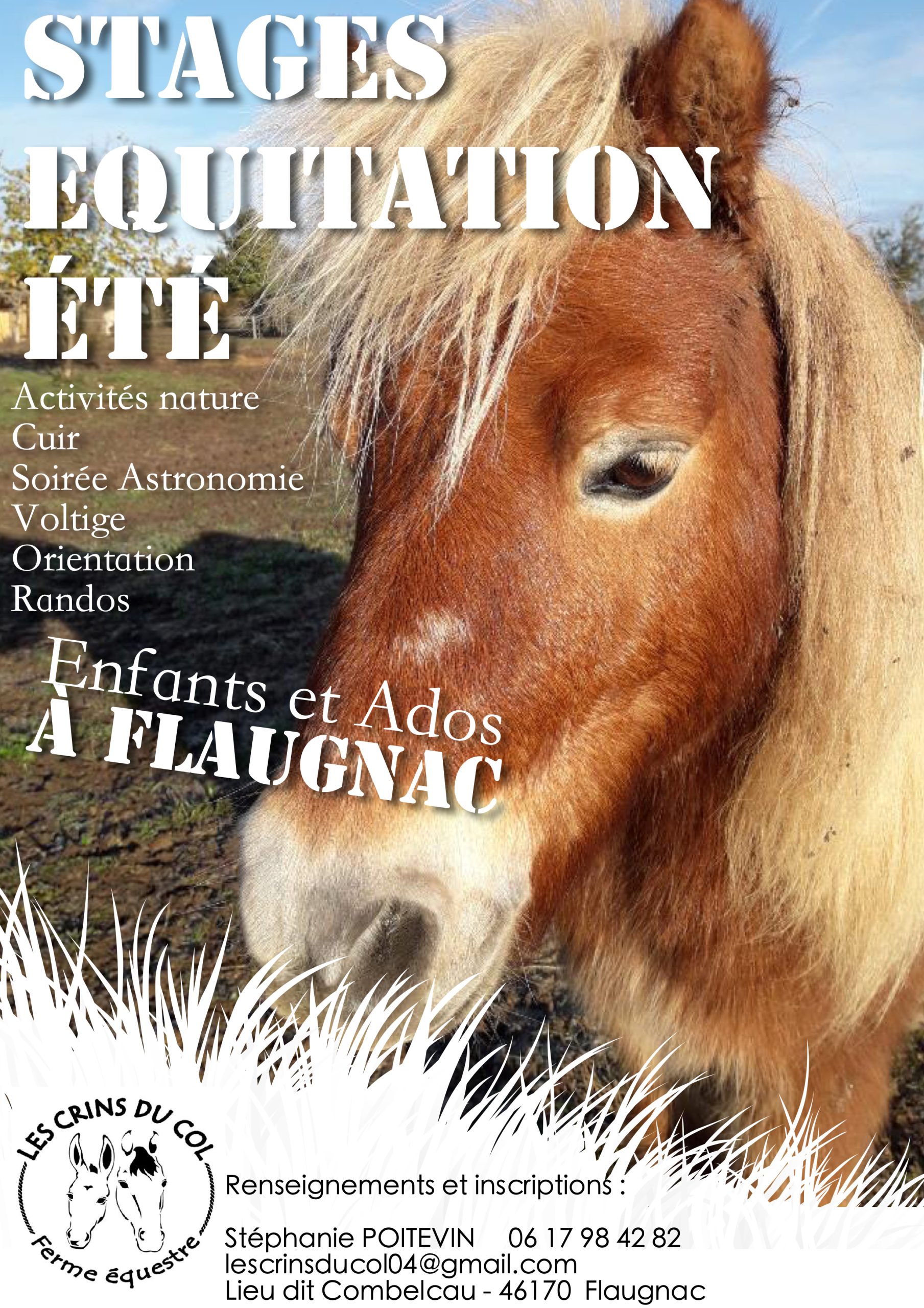 Stage de Poney à la ferme équestre "Les Crins du Col"