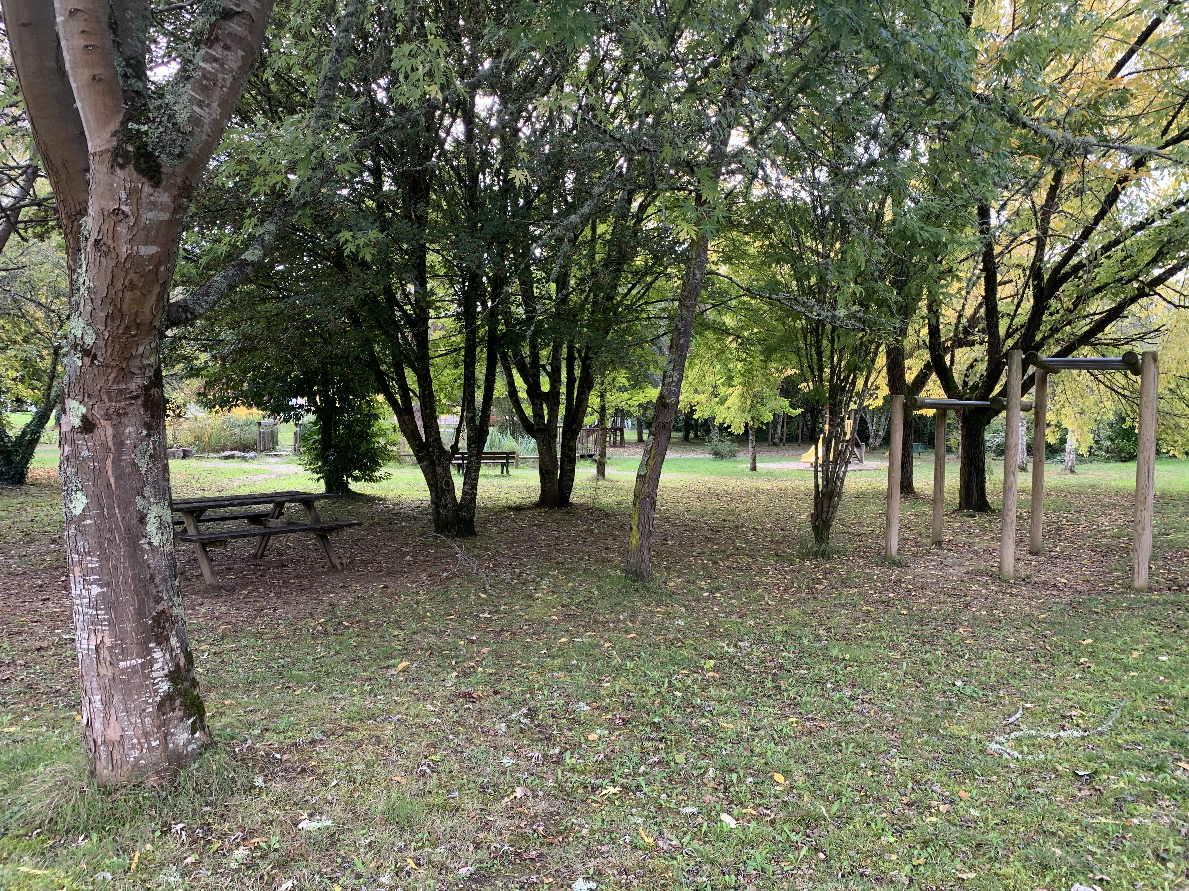 Aire de Pique-Nique de l'Arboretum, Salviac - photo 3