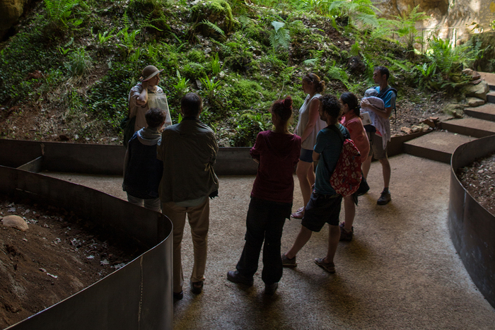 Le chant des oiseaux d'hier et d'aujourd'hui