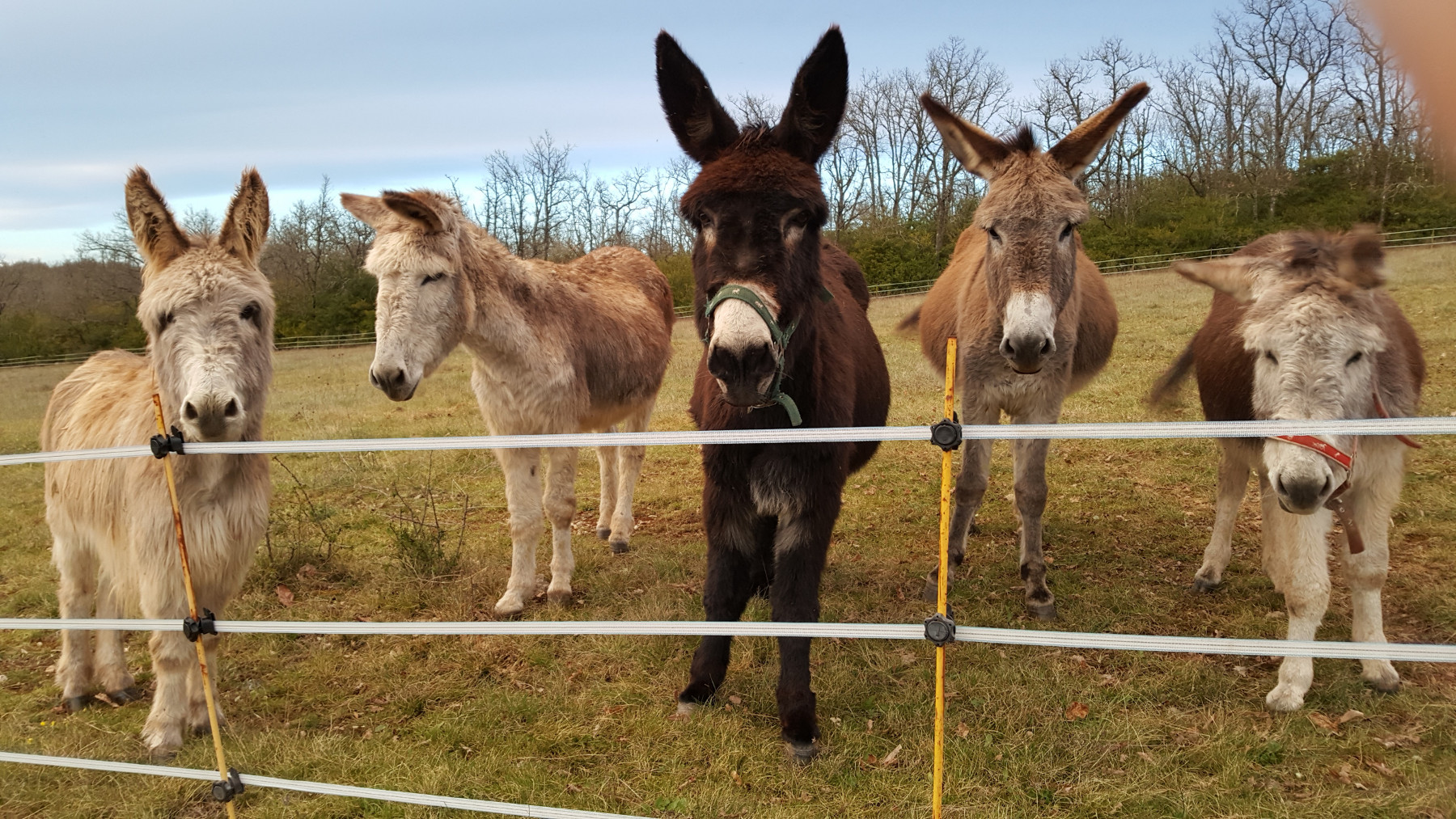 Camping naturiste Lalbrade, Lugagnac - photo 8
